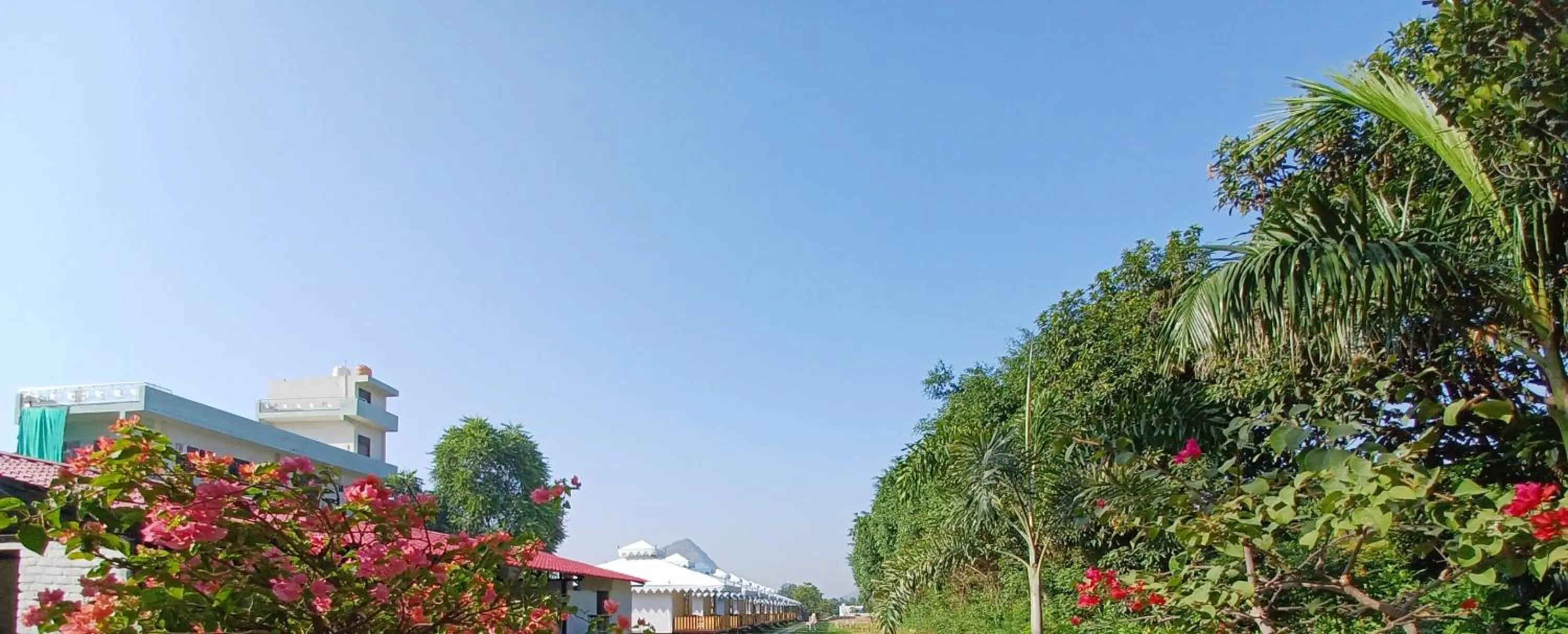 Day in Hotel Green Haveli - A Heritage and Hill View Hotel , Pushkar