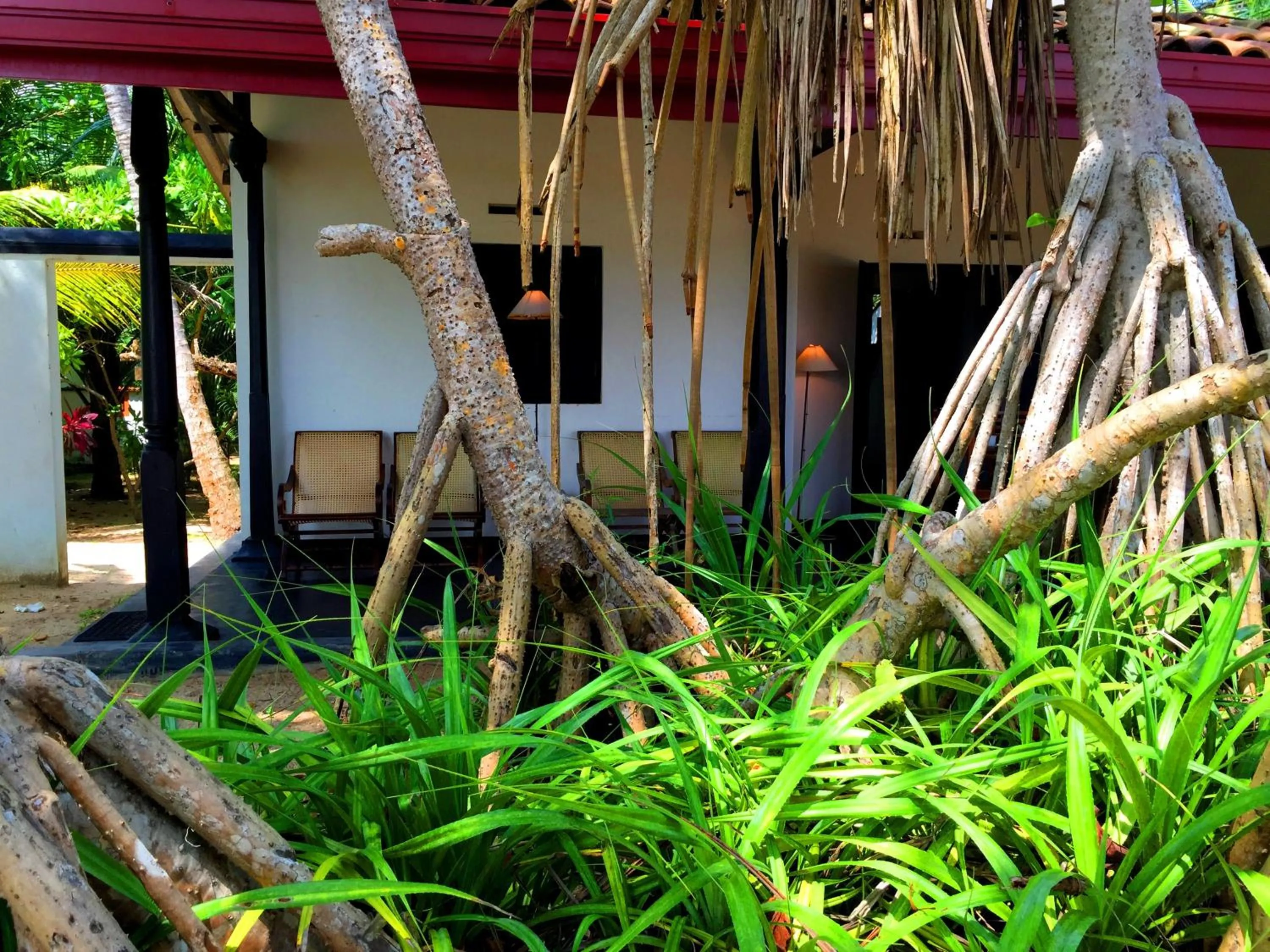 Balcony/Terrace in Shehani Beach Bungalow