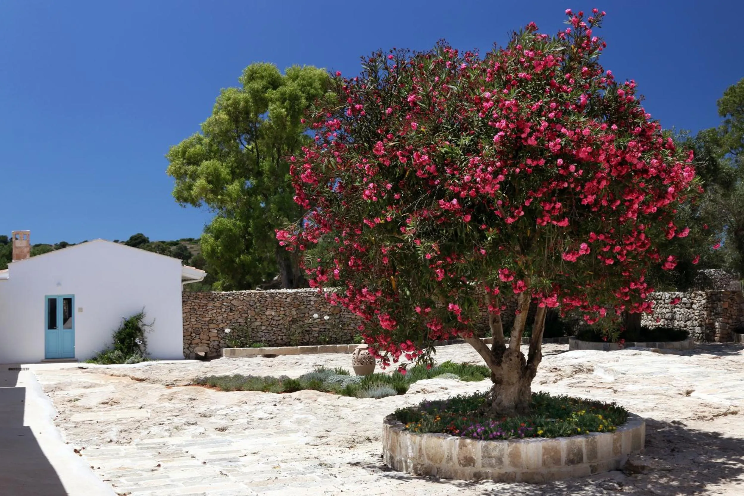 On site in Masseria Fano Relais & Wine