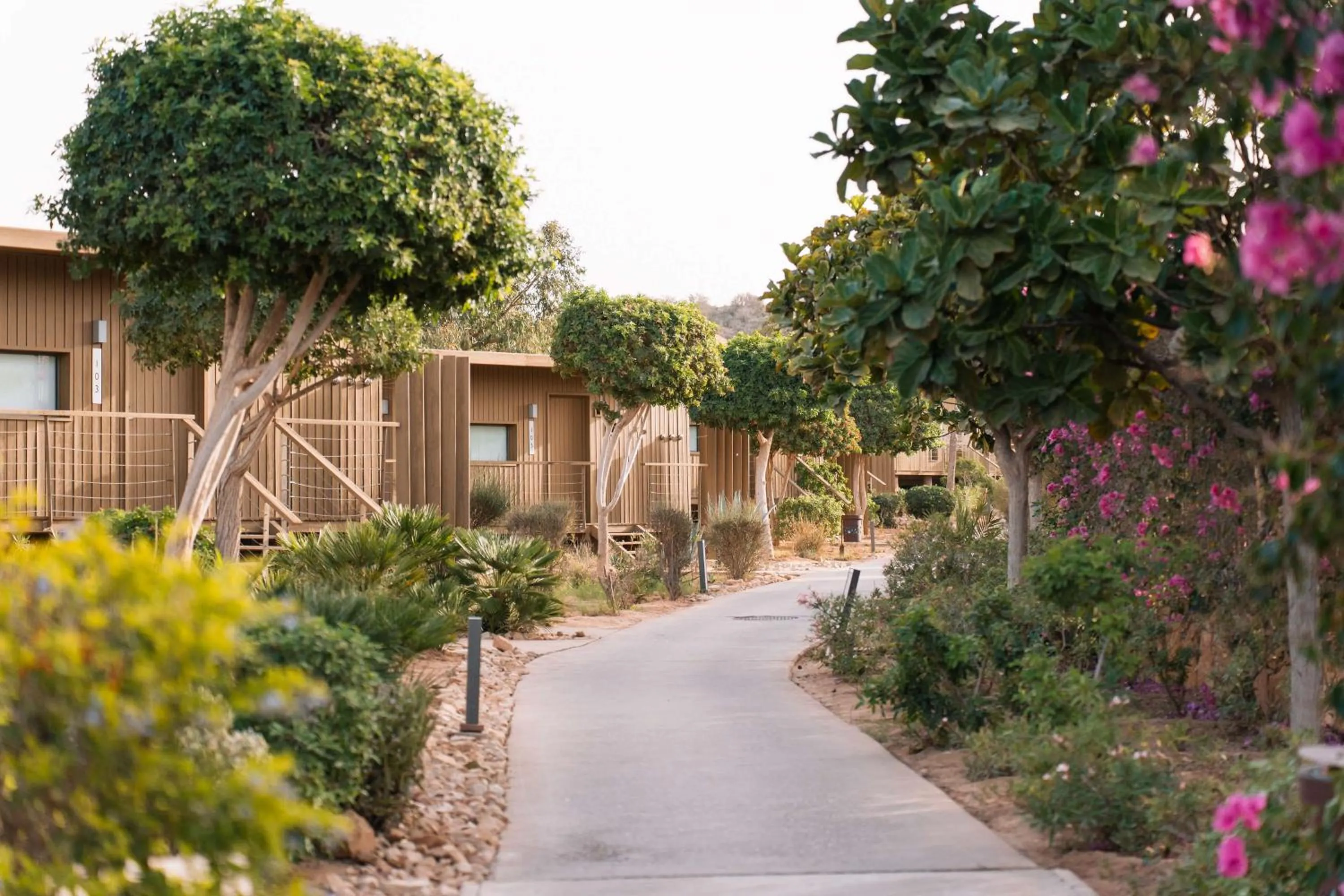 Bedroom in Radisson Blu Resort Taghazout Bay Surf Village