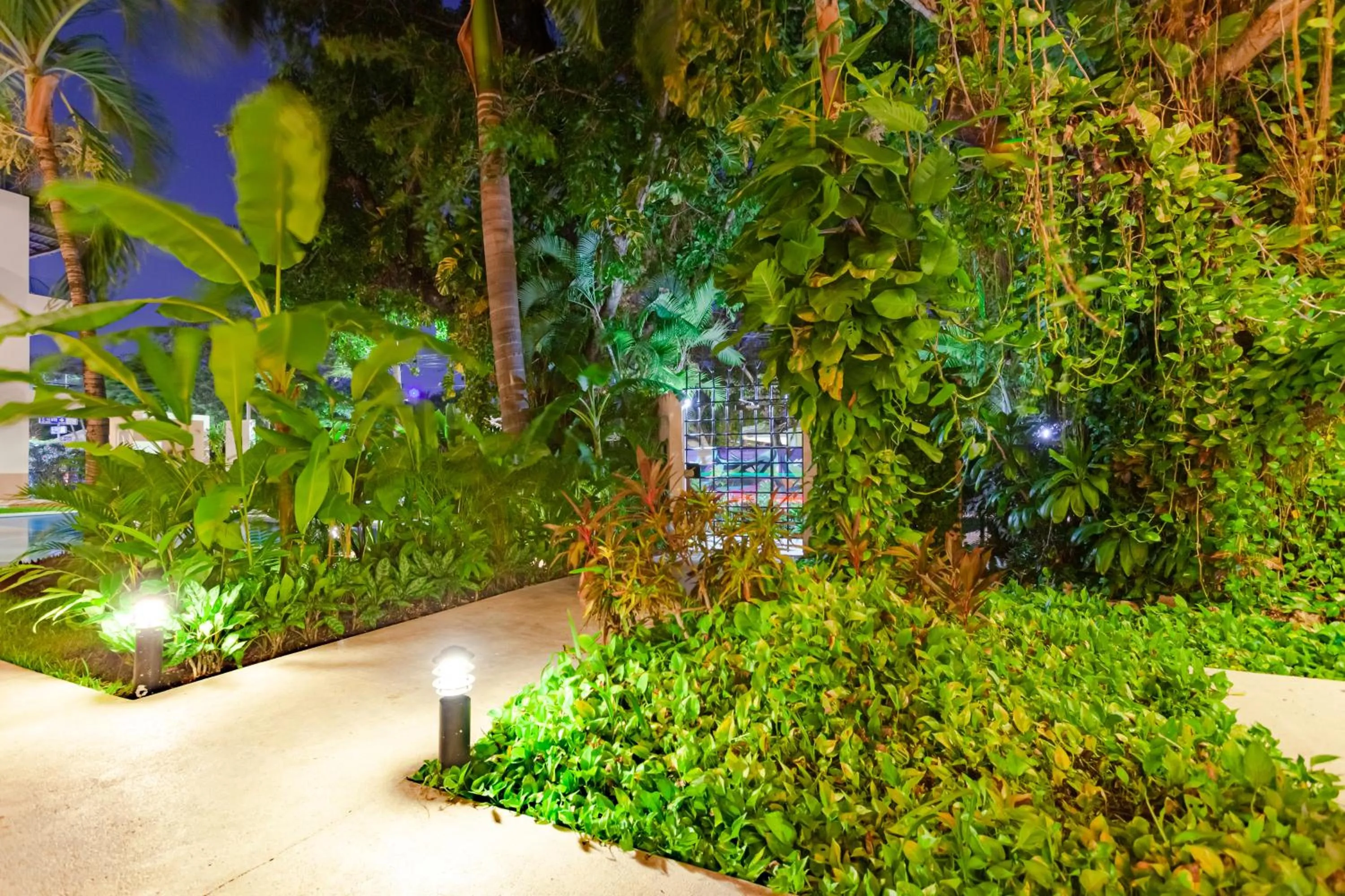 Night in Via Tendenza Condos