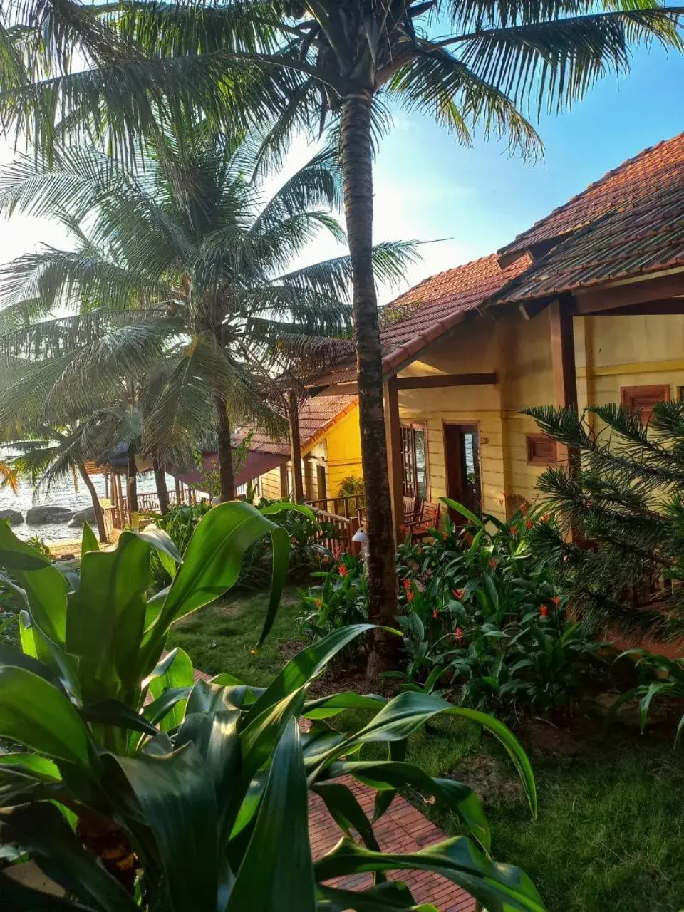Bungalow with Sea View in Free Beach Resort Bungalow with Sea View in Free Beach Resort