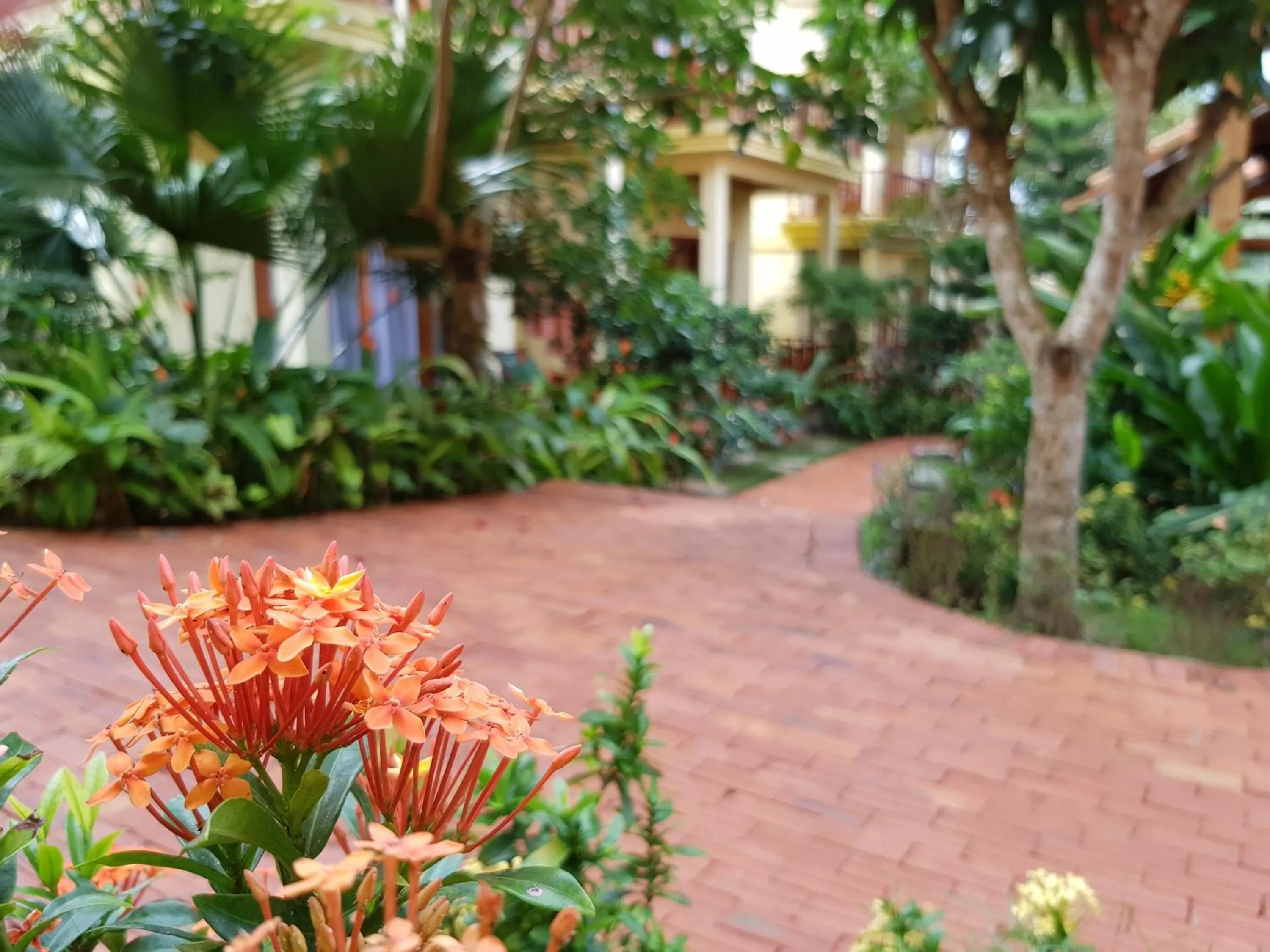 Garden view in Free Beach Resort