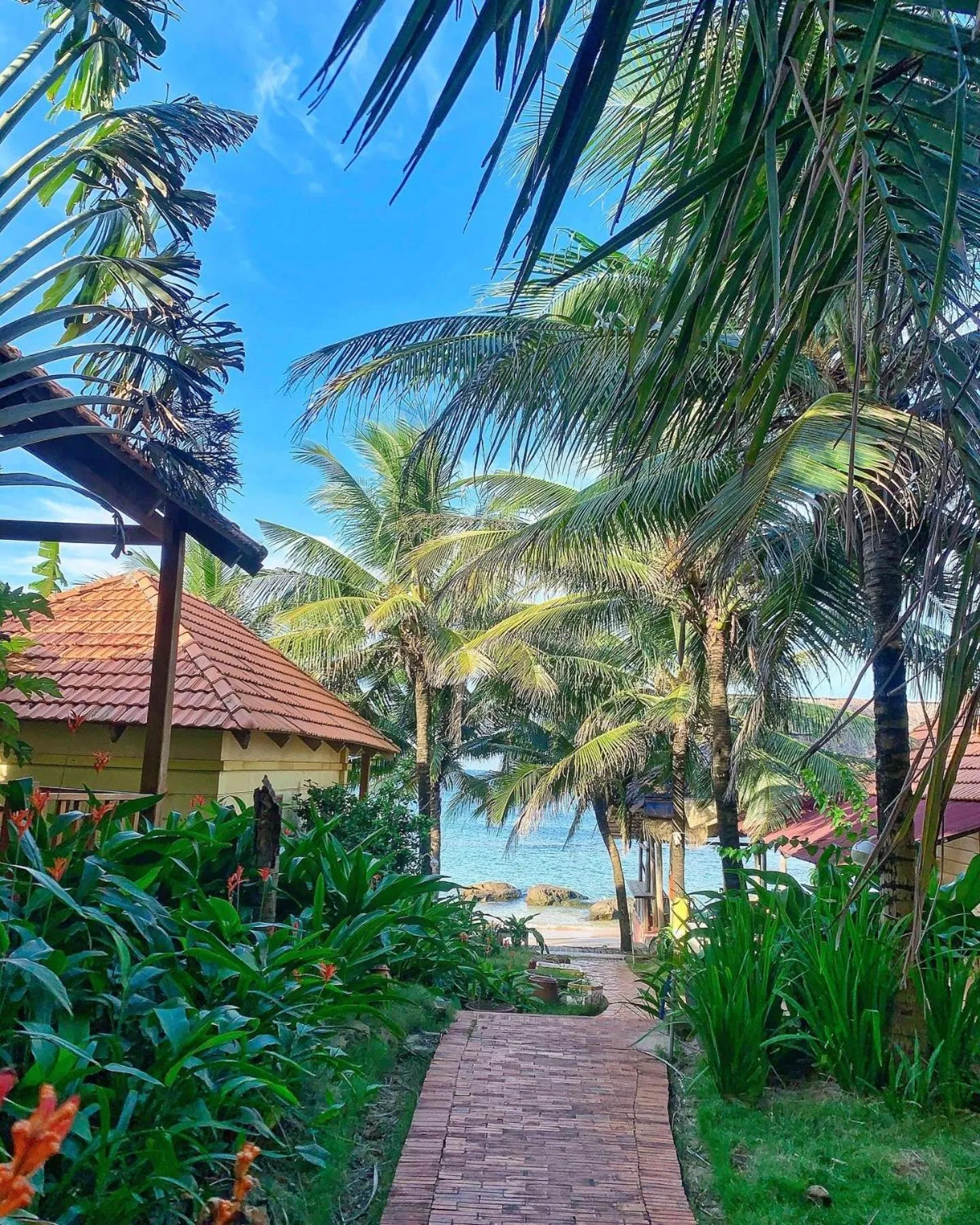 Other in Free Beach Resort