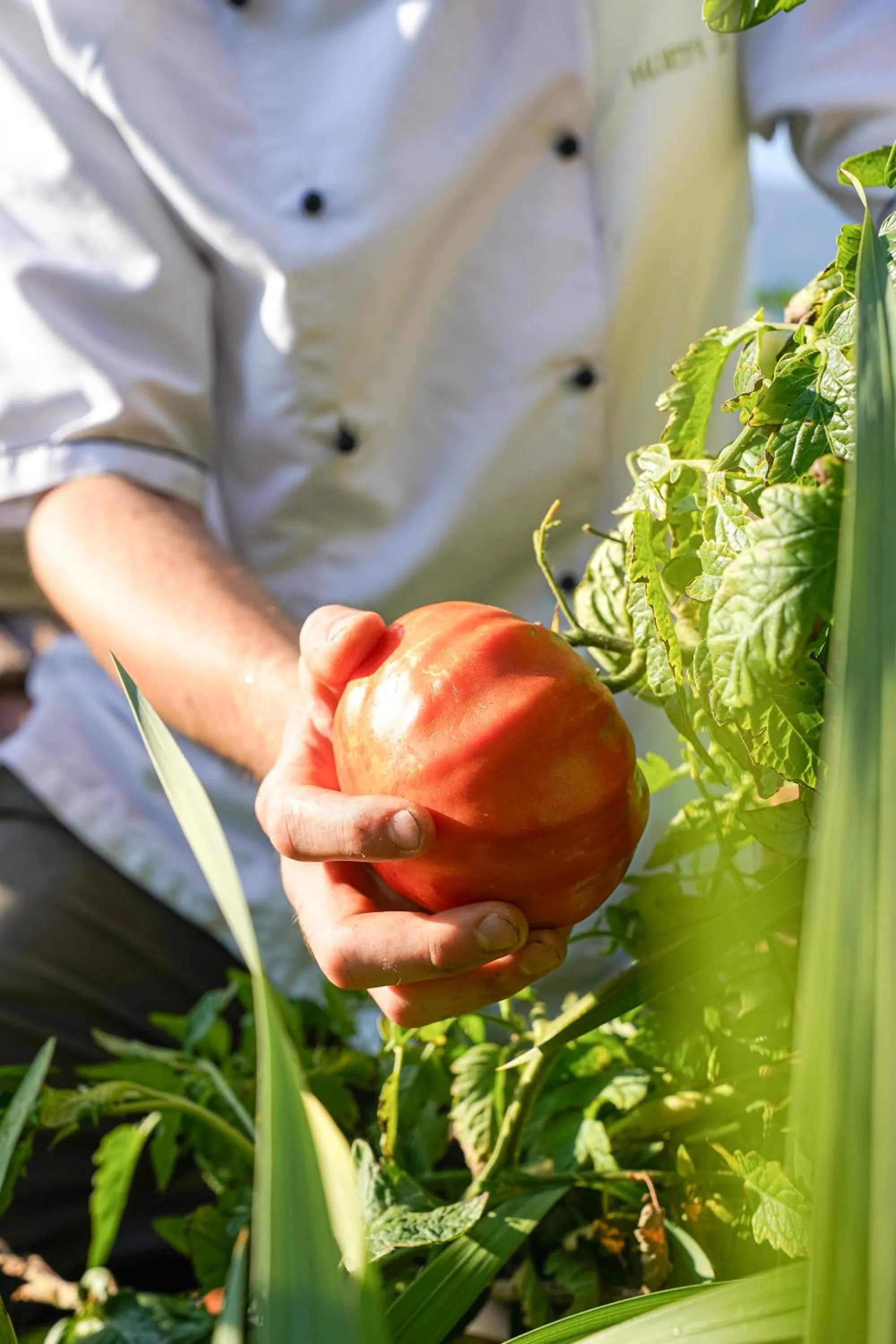 Restaurant/places to eat in Hotel Niedermair