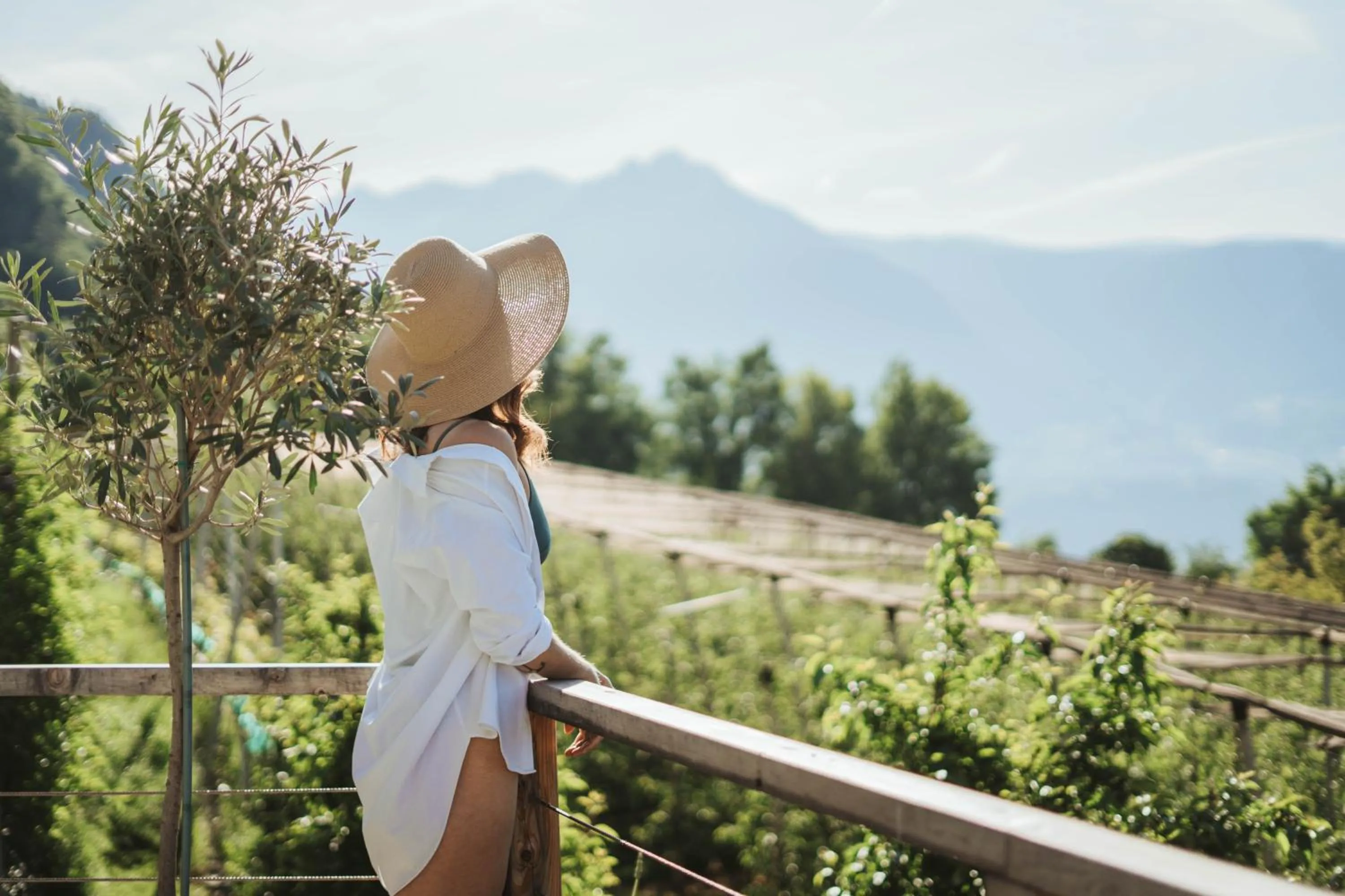View (from property/room) in Hotel Niedermair