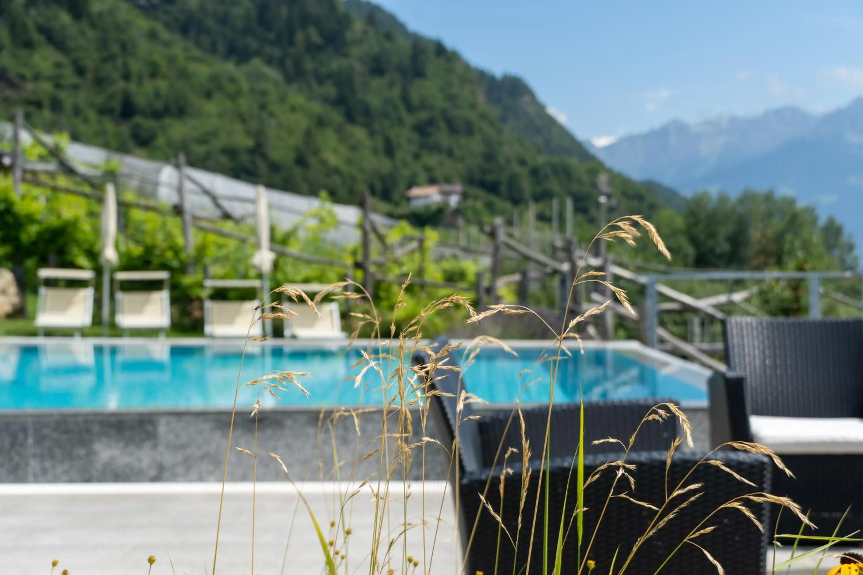 Pool view in Hotel Niedermair
