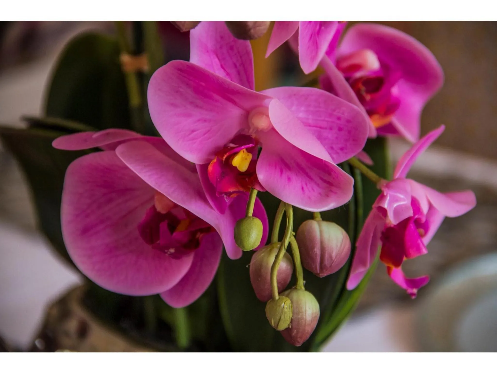 Lobby or reception in La Loggia Bed and Breakfast
