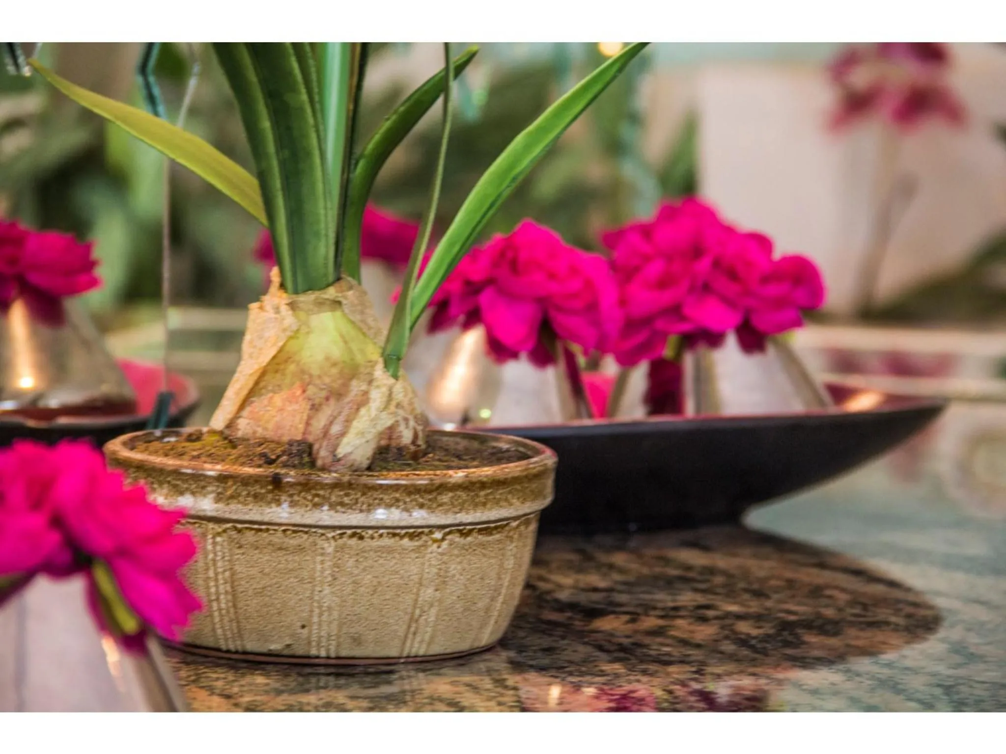 Decorative detail in La Loggia Bed and Breakfast