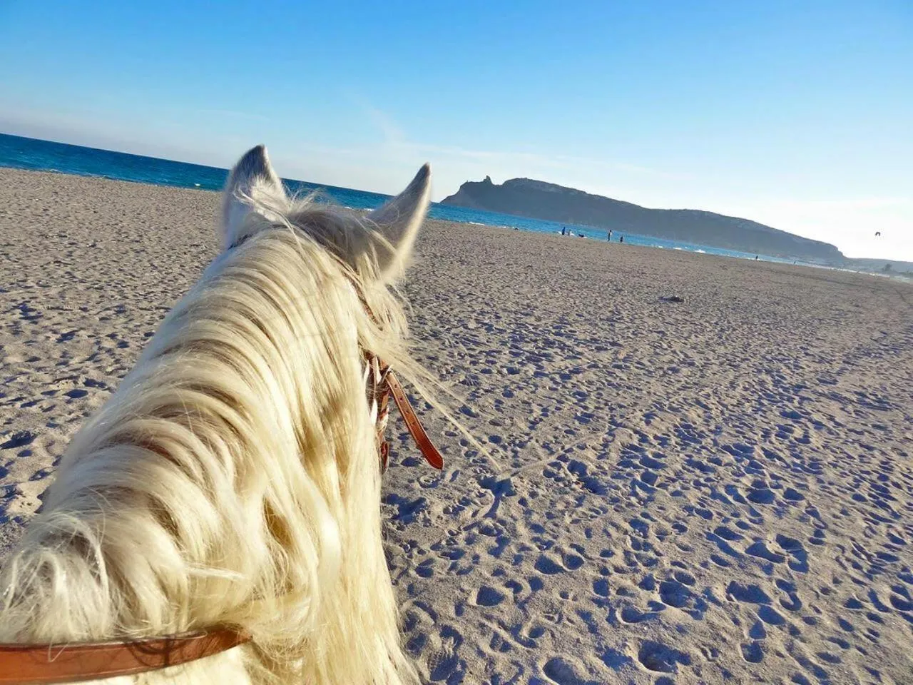 Horse-riding in Casa Vacanze Villa Flumini