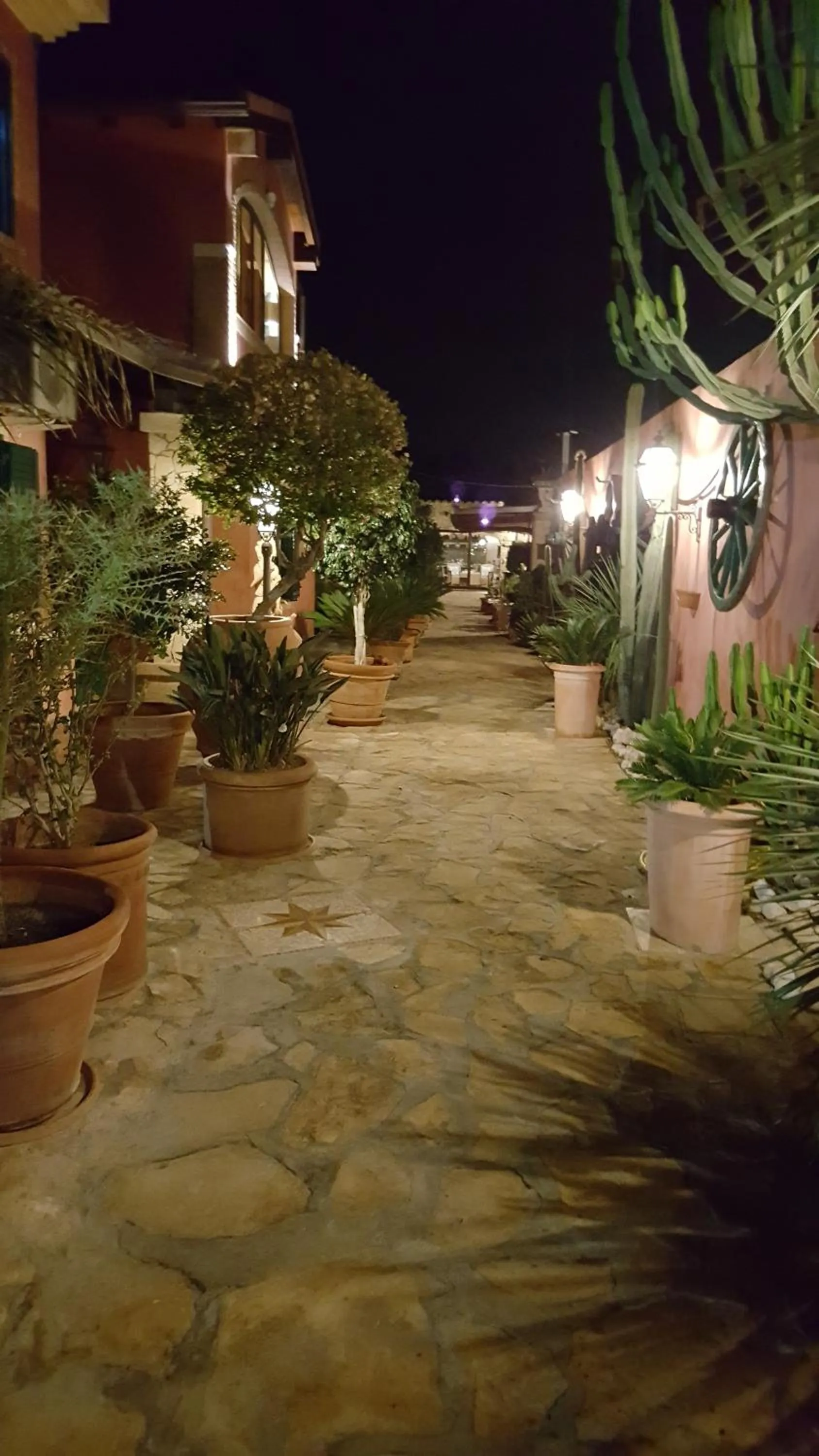 Garden view in Casa Vacanze Villa Flumini