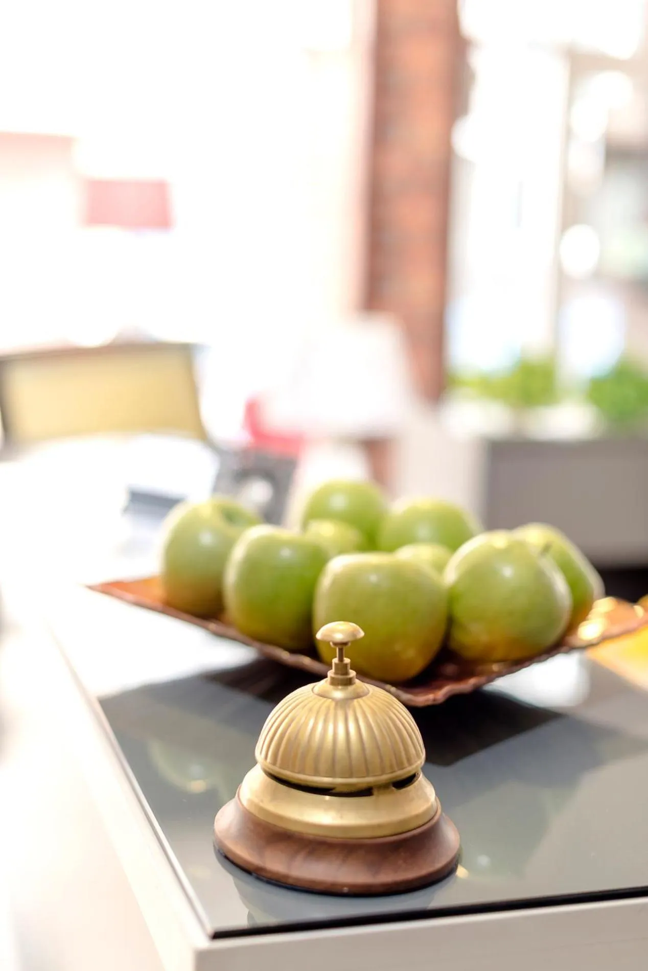 Animals in The Corner Inn Hotels By Suit