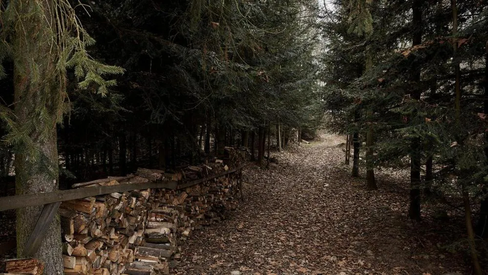 Natural landscape in Chata u Bronka