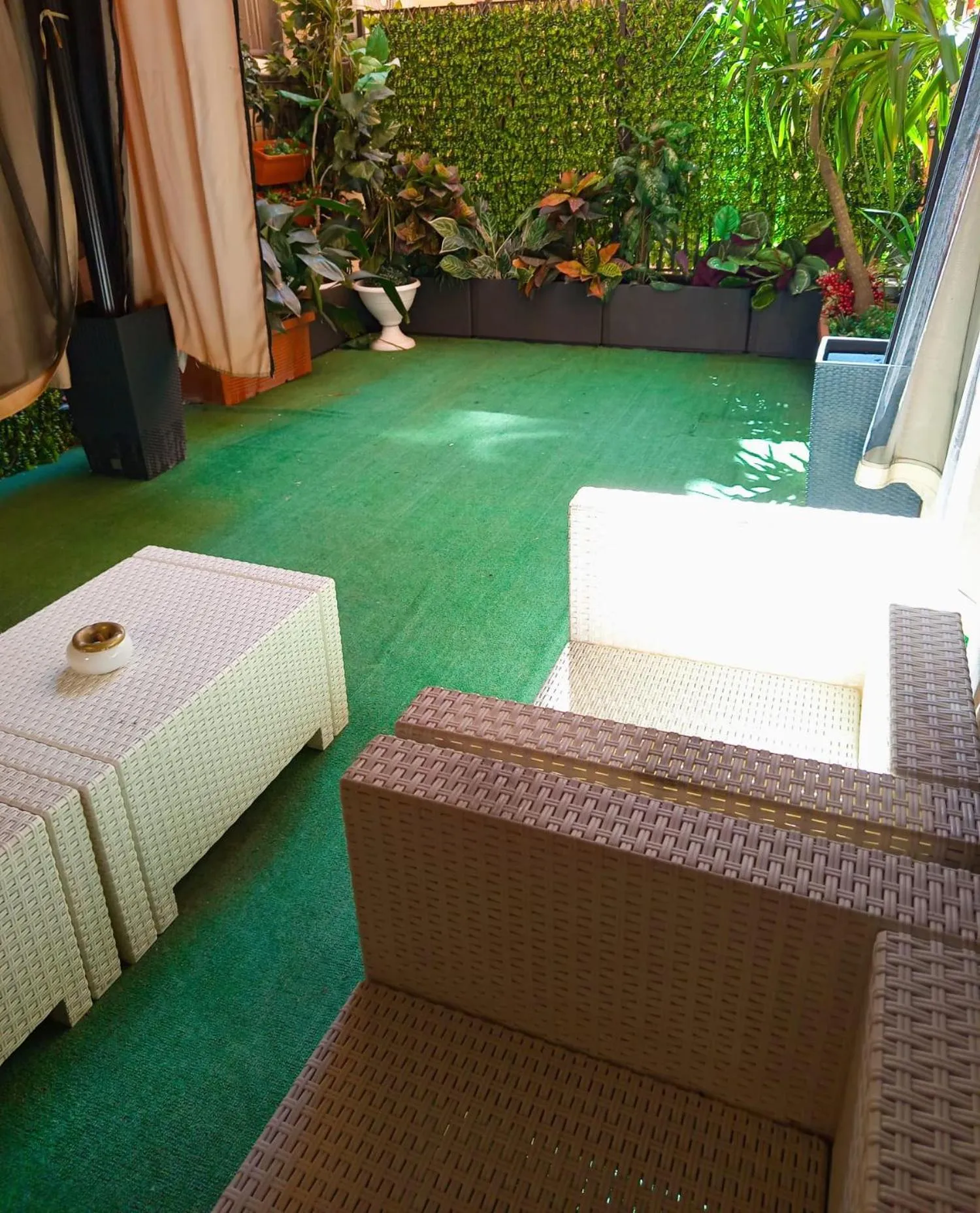 Garden in Hotel Birillo