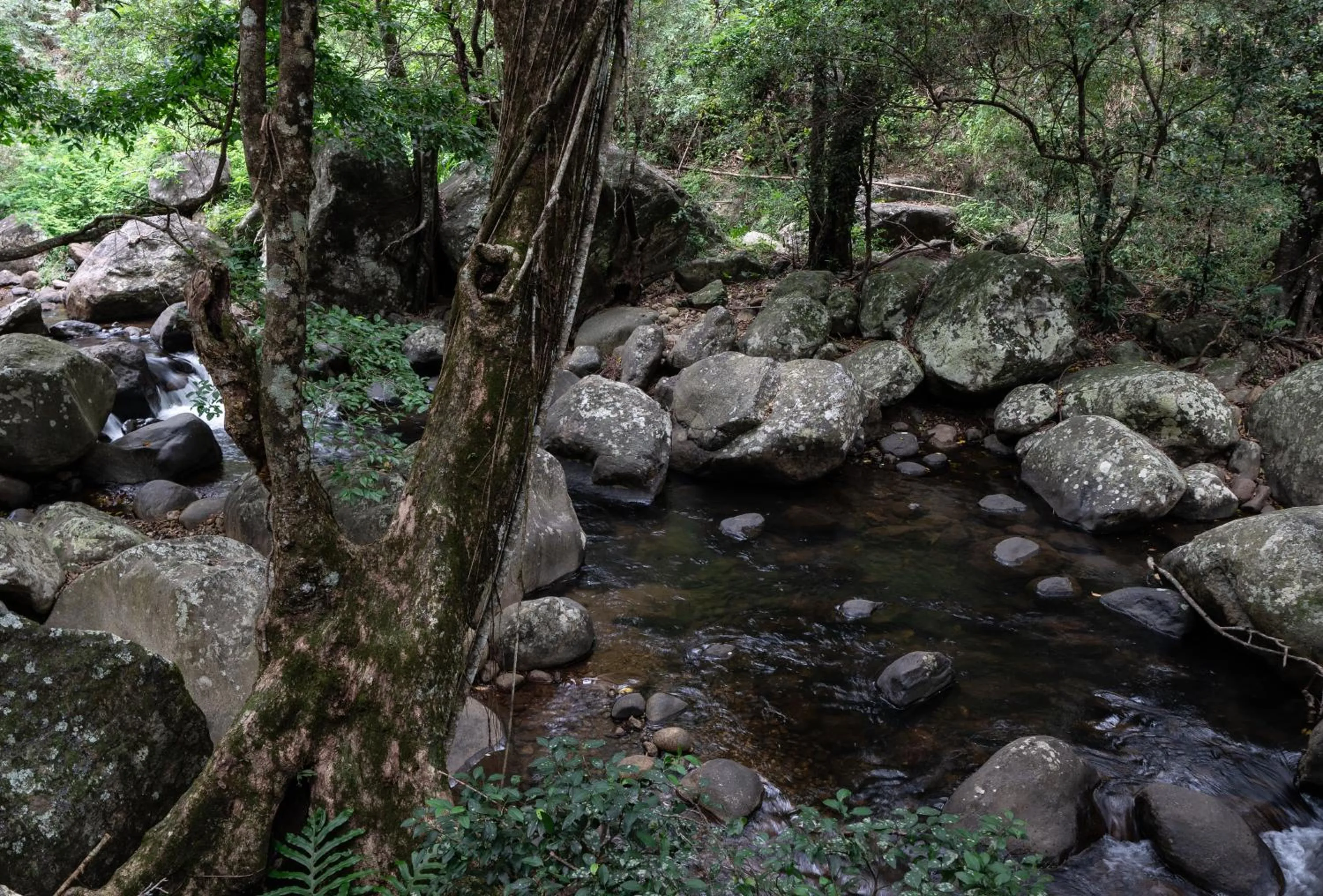 Natural landscape in The Glenrock Wellness Nature Resort