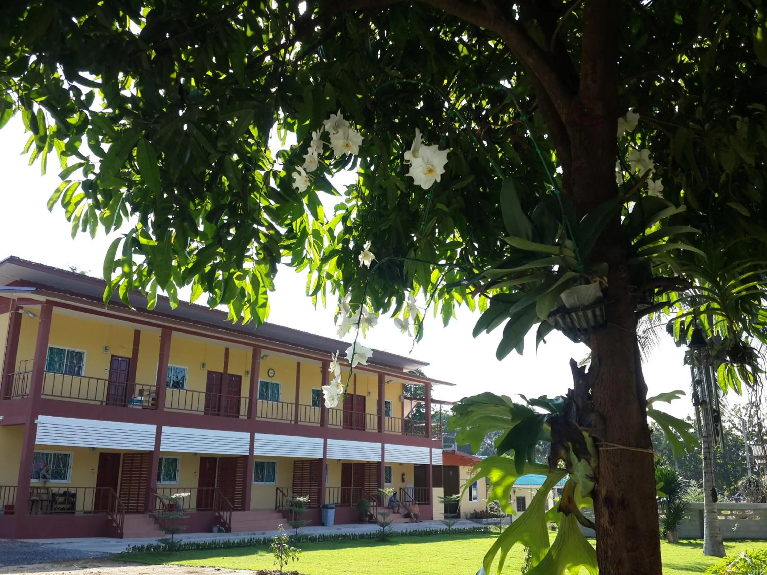 Natural landscape in No.17 @ Khaoyai