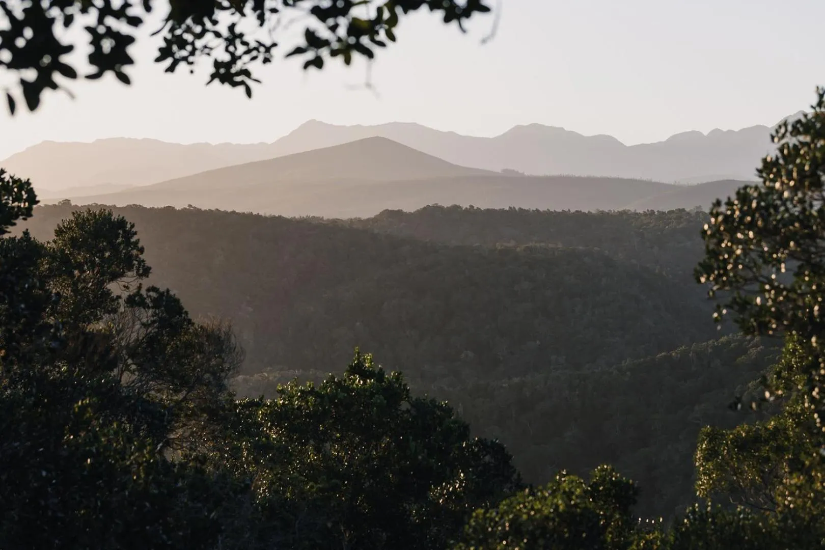 Natural landscape in Moonshine on Whiskey Creek