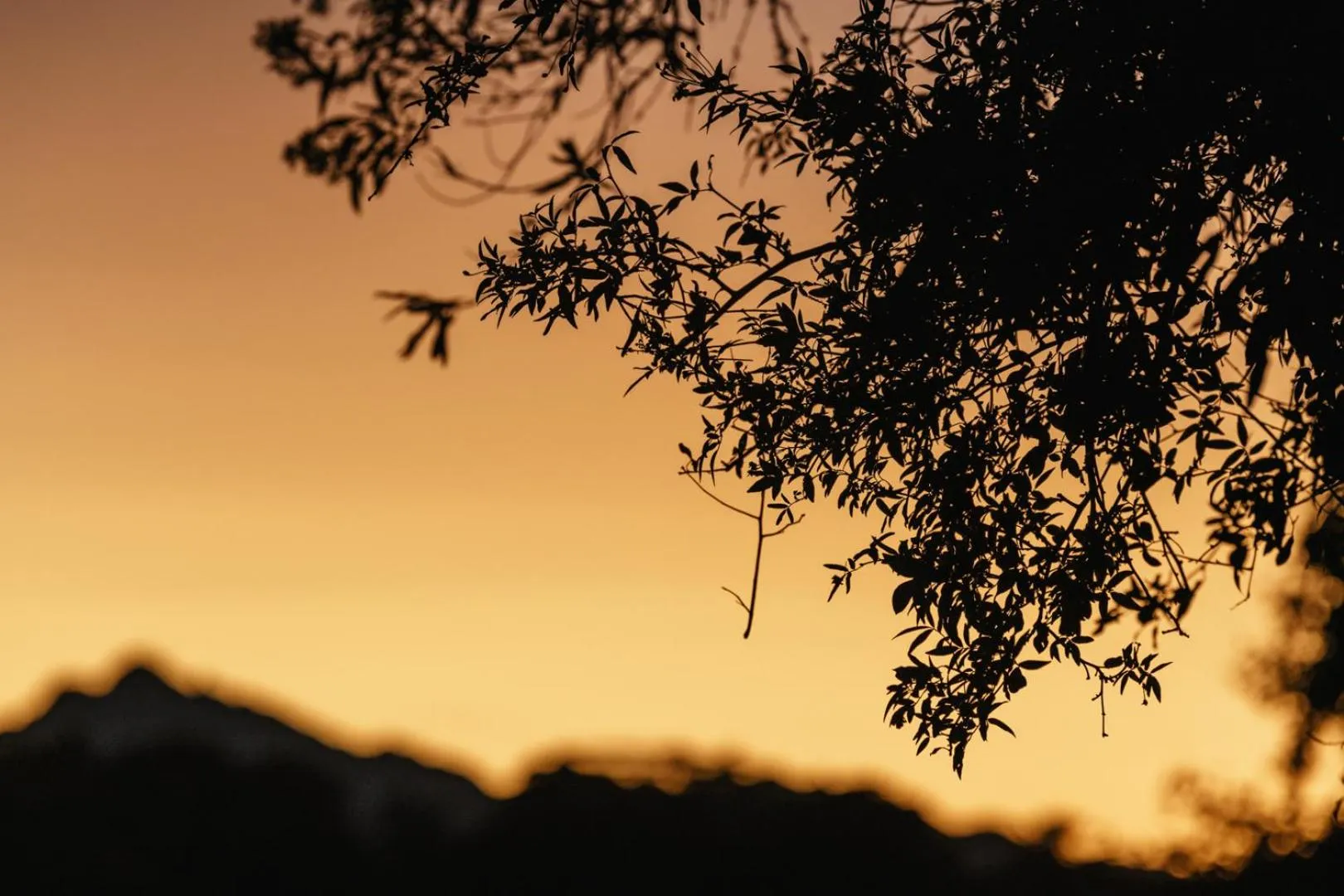 Natural landscape in Moonshine on Whiskey Creek