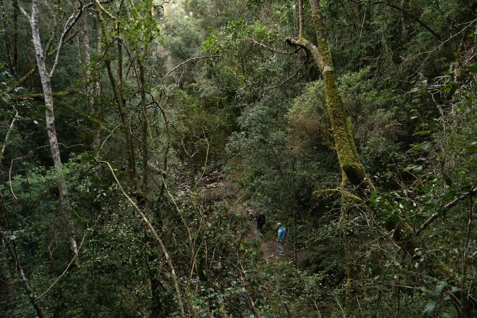 Natural landscape in Moonshine on Whiskey Creek