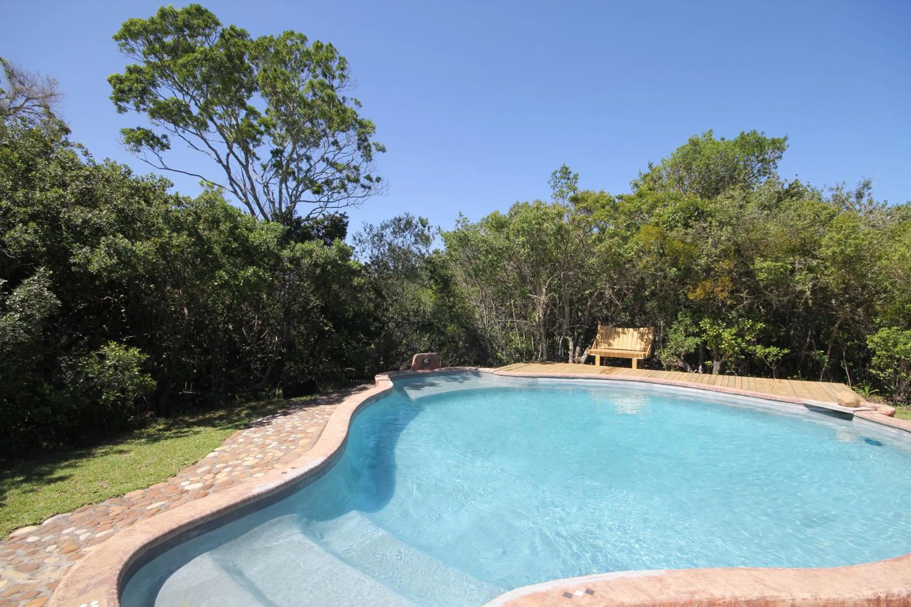 Day in Moonshine on Whiskey Creek