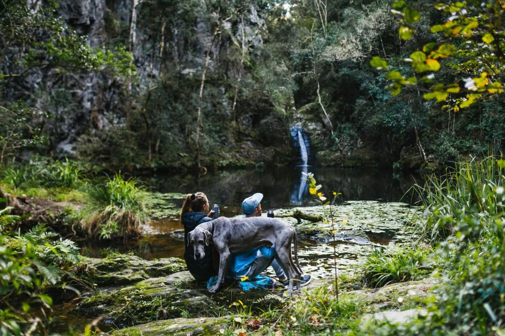 Natural landscape in Moonshine on Whiskey Creek