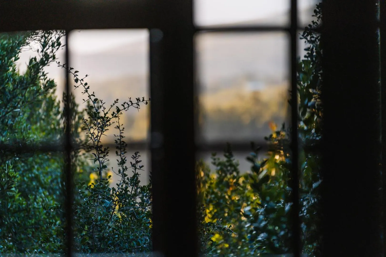 Day in Moonshine on Whiskey Creek