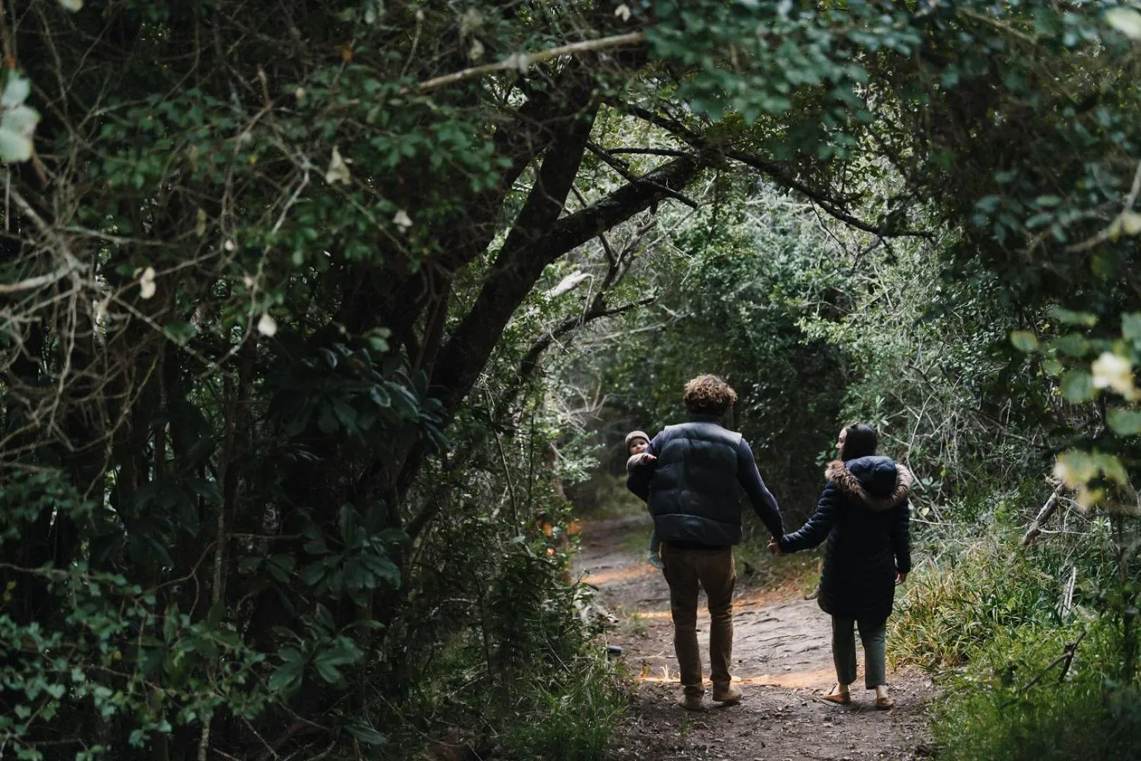 Natural landscape in Moonshine on Whiskey Creek