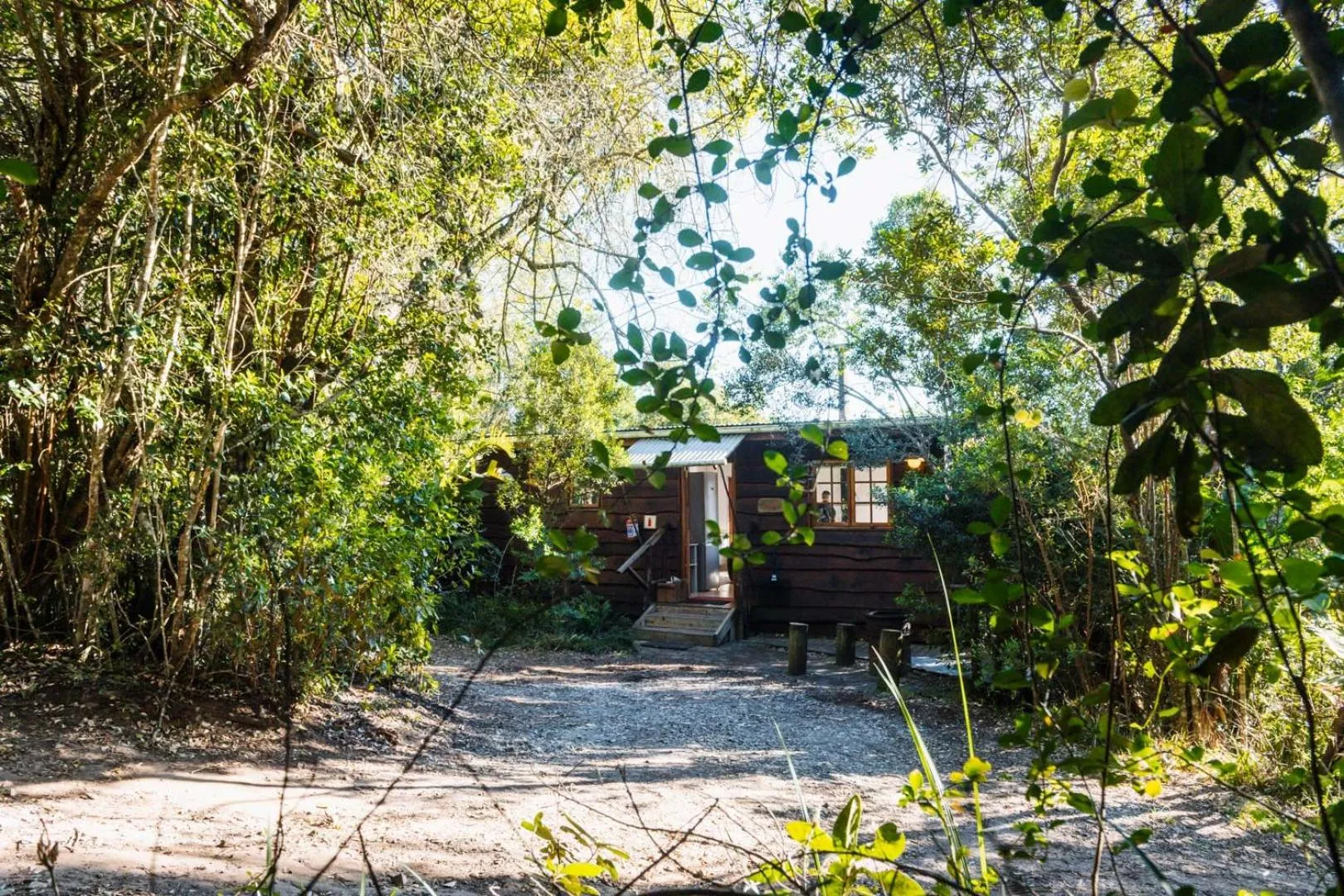 Property building in Moonshine on Whiskey Creek