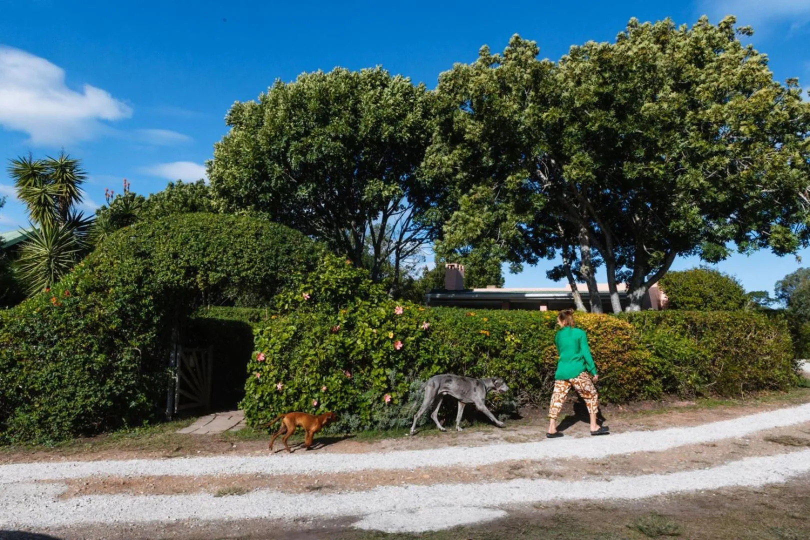 People in Moonshine on Whiskey Creek