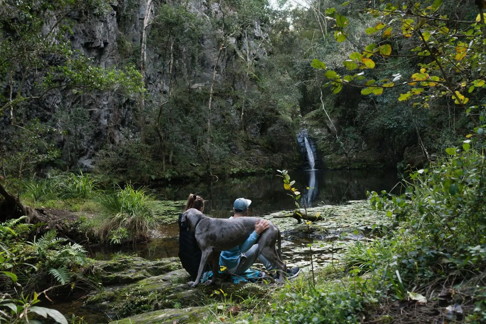 Natural landscape in Moonshine on Whiskey Creek