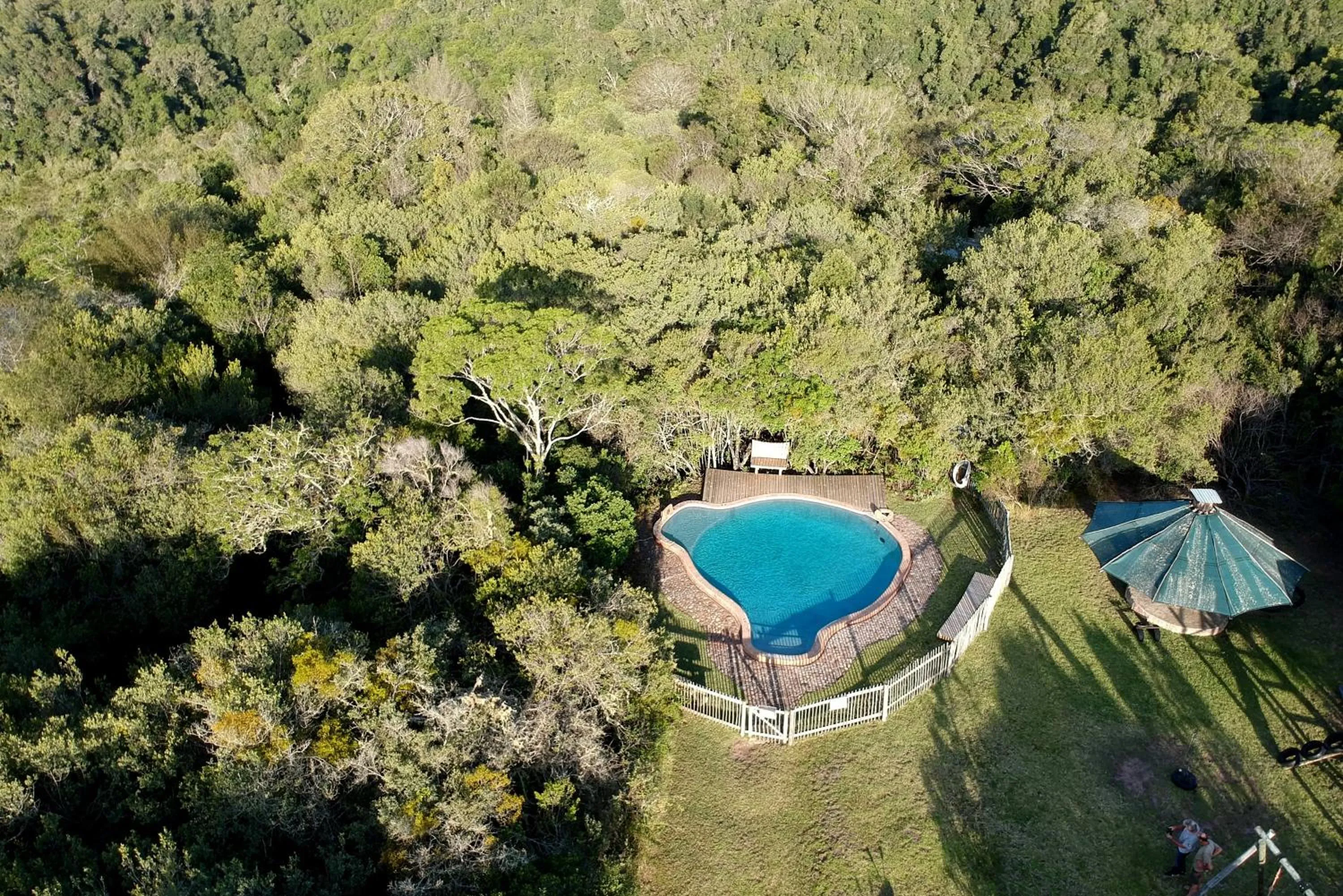 Day in Moonshine on Whiskey Creek