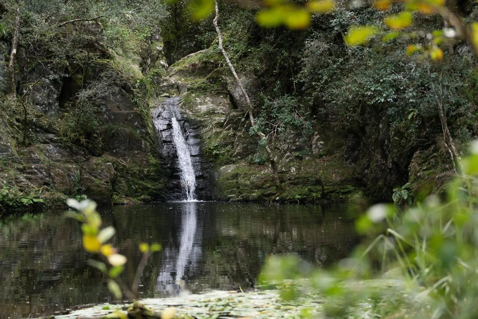 Natural landscape in Moonshine on Whiskey Creek