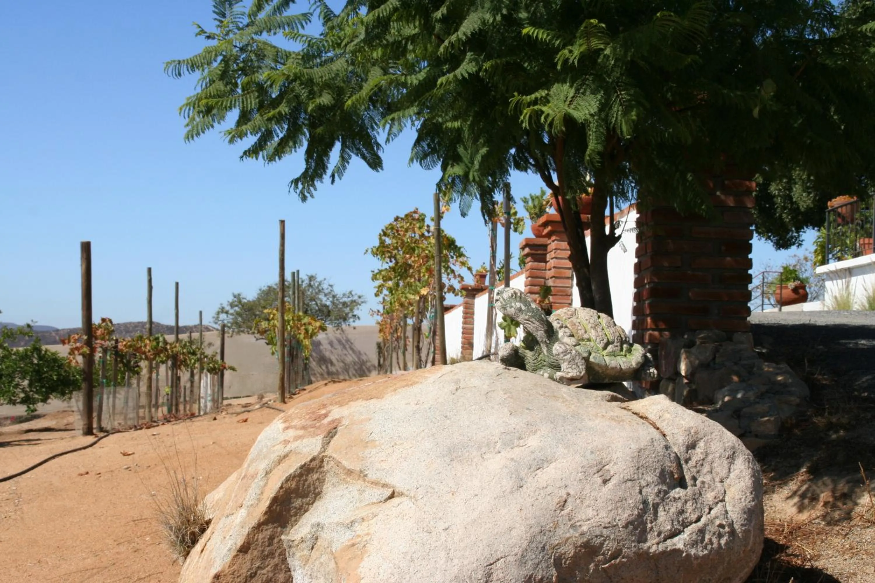 Patio in Quinta Sofia Valle de Guadalupe