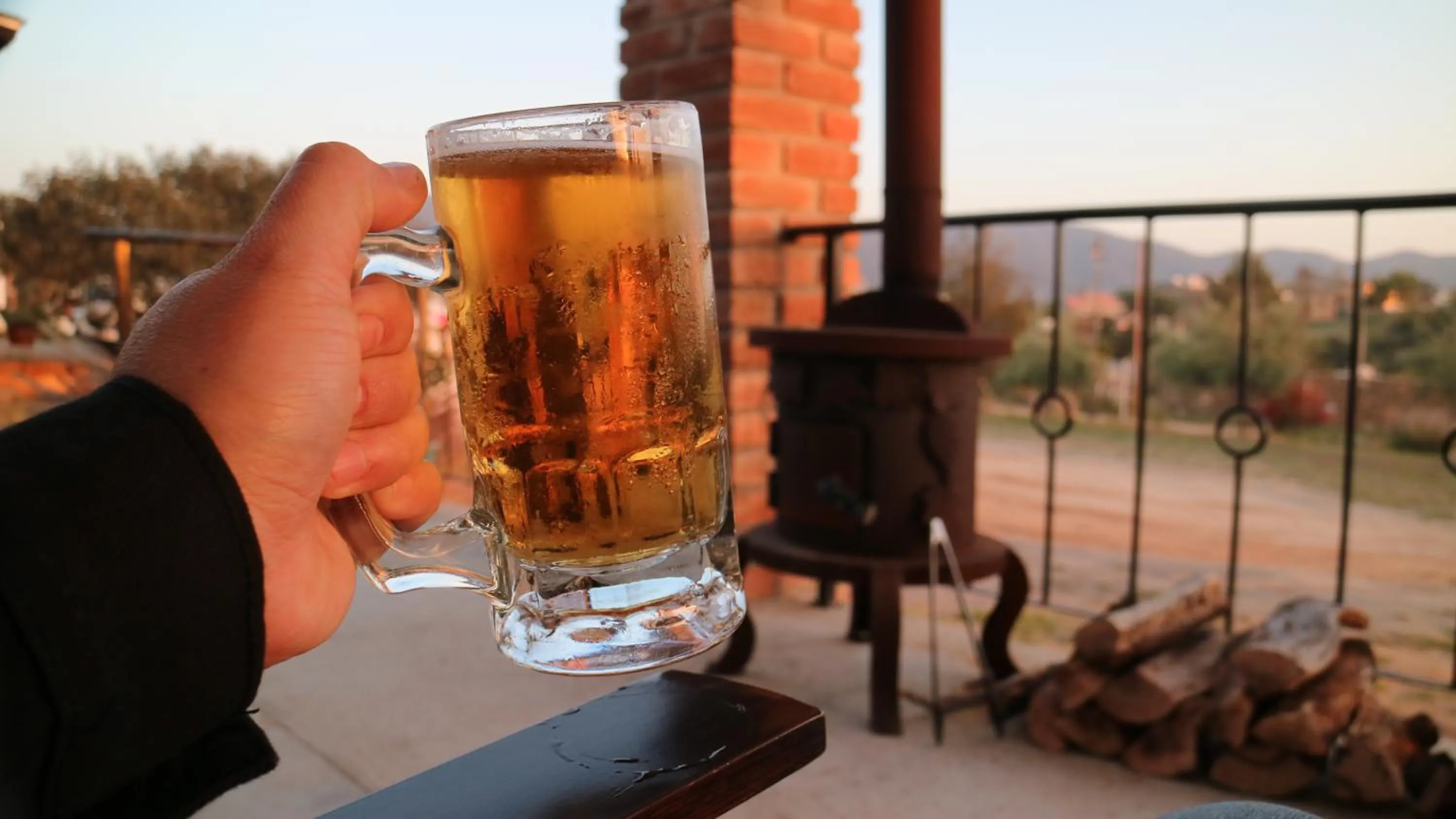 Day in Quinta Sofia Valle de Guadalupe