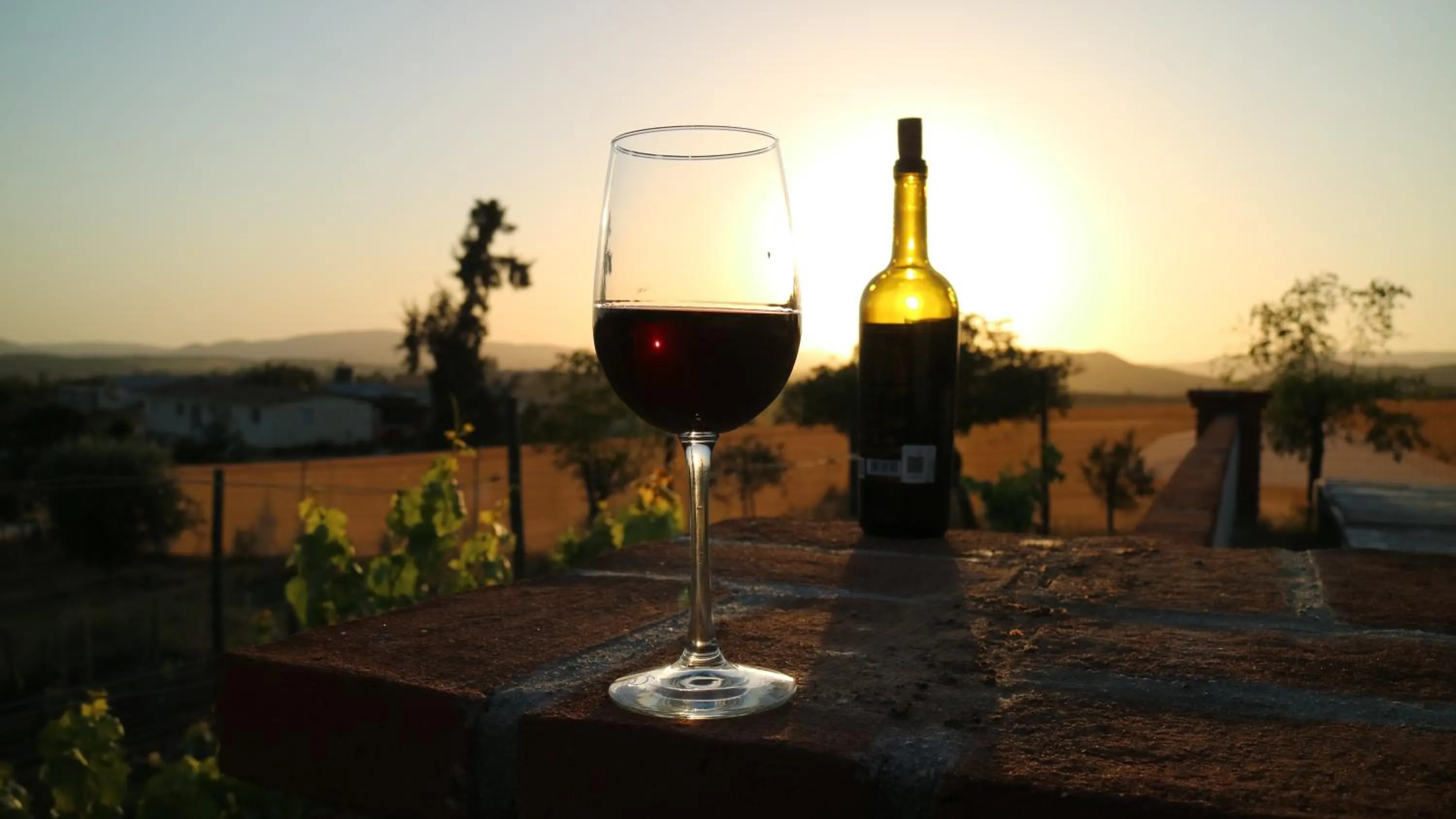 Food and drinks in Quinta Sofia Valle de Guadalupe