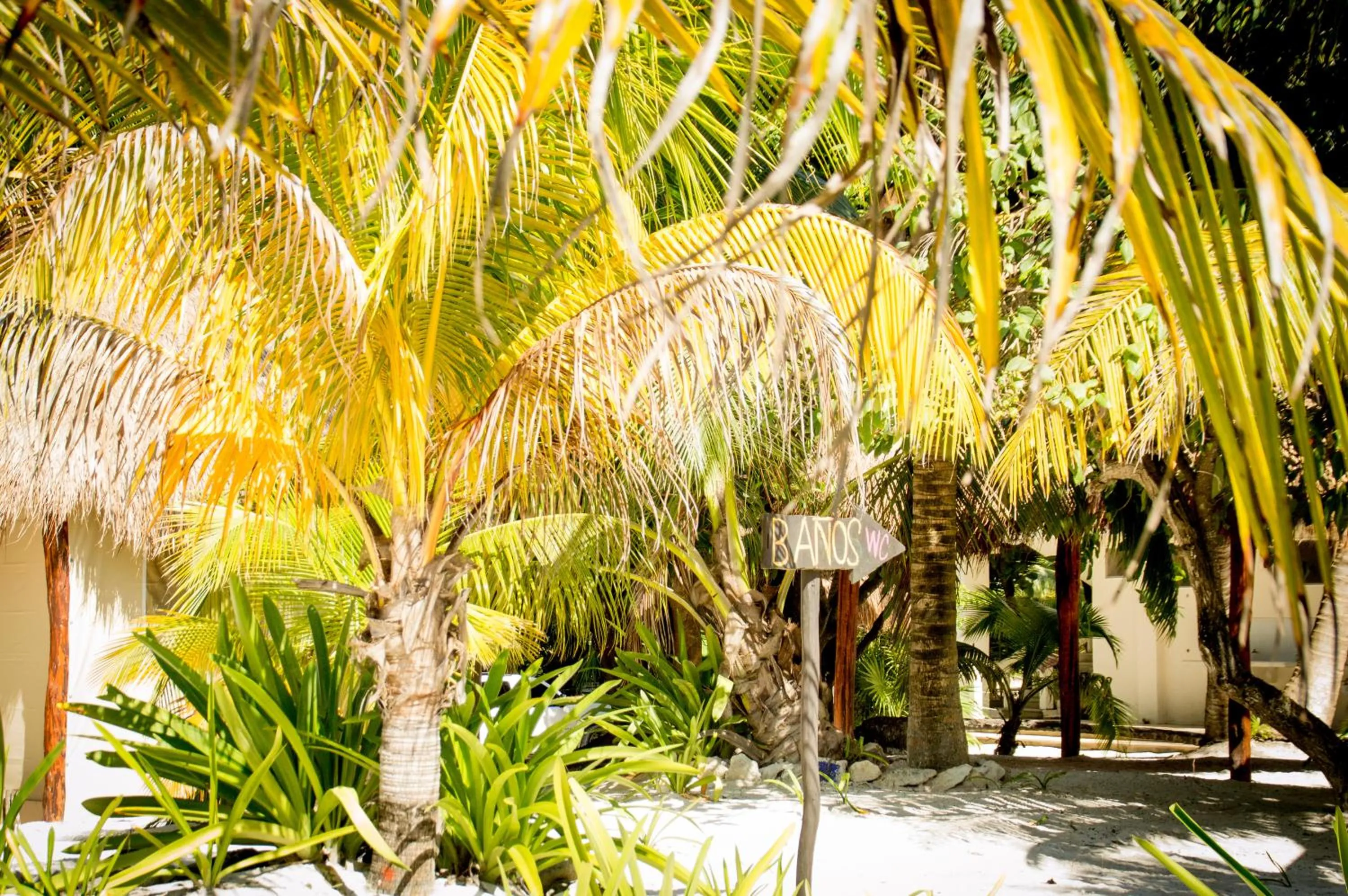 View (from property/room) in XpuHa Bonanza
