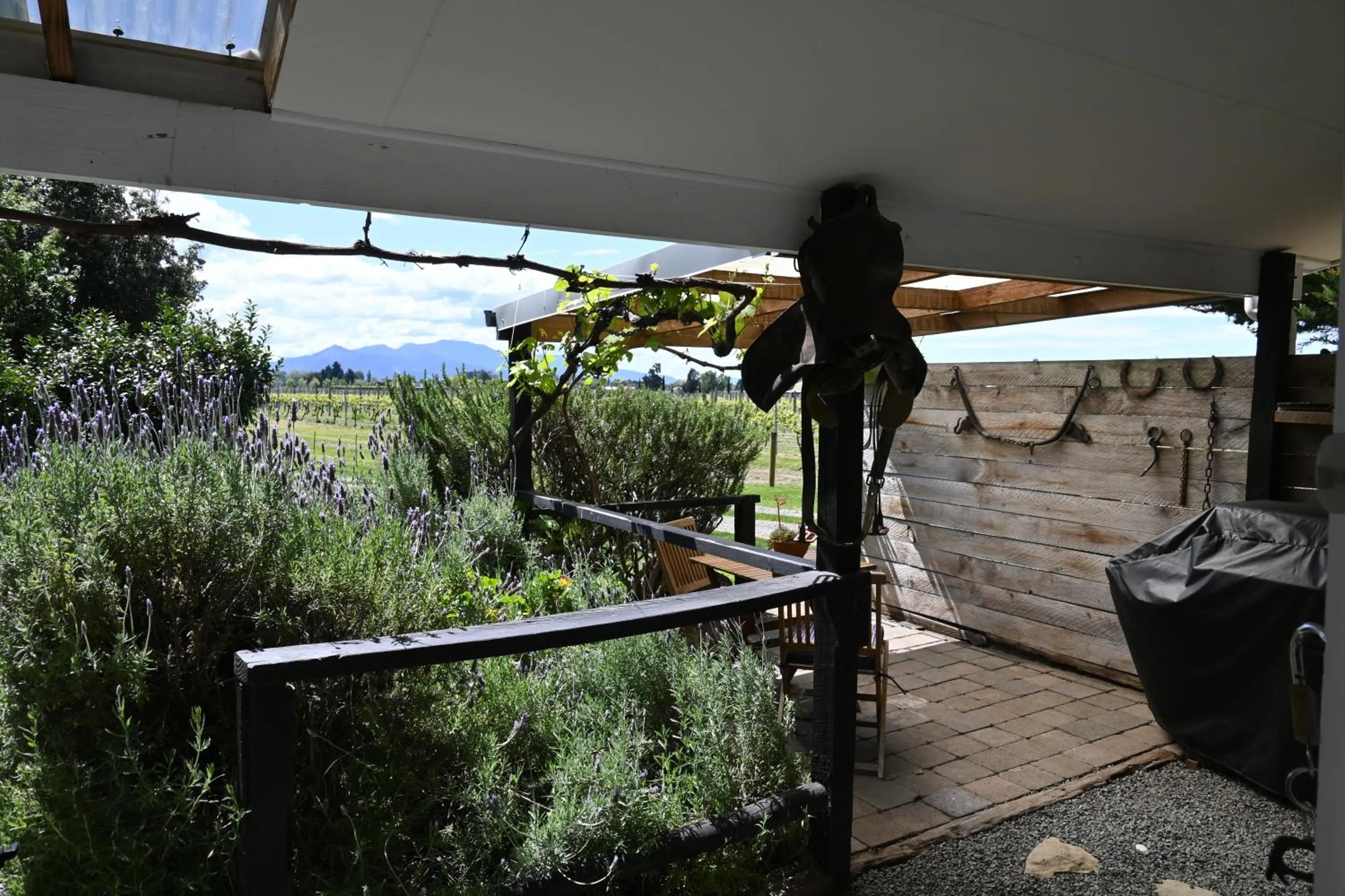 Garden in St Leonards Vineyard Cottages