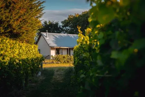 St Leonards Vineyard Cottages