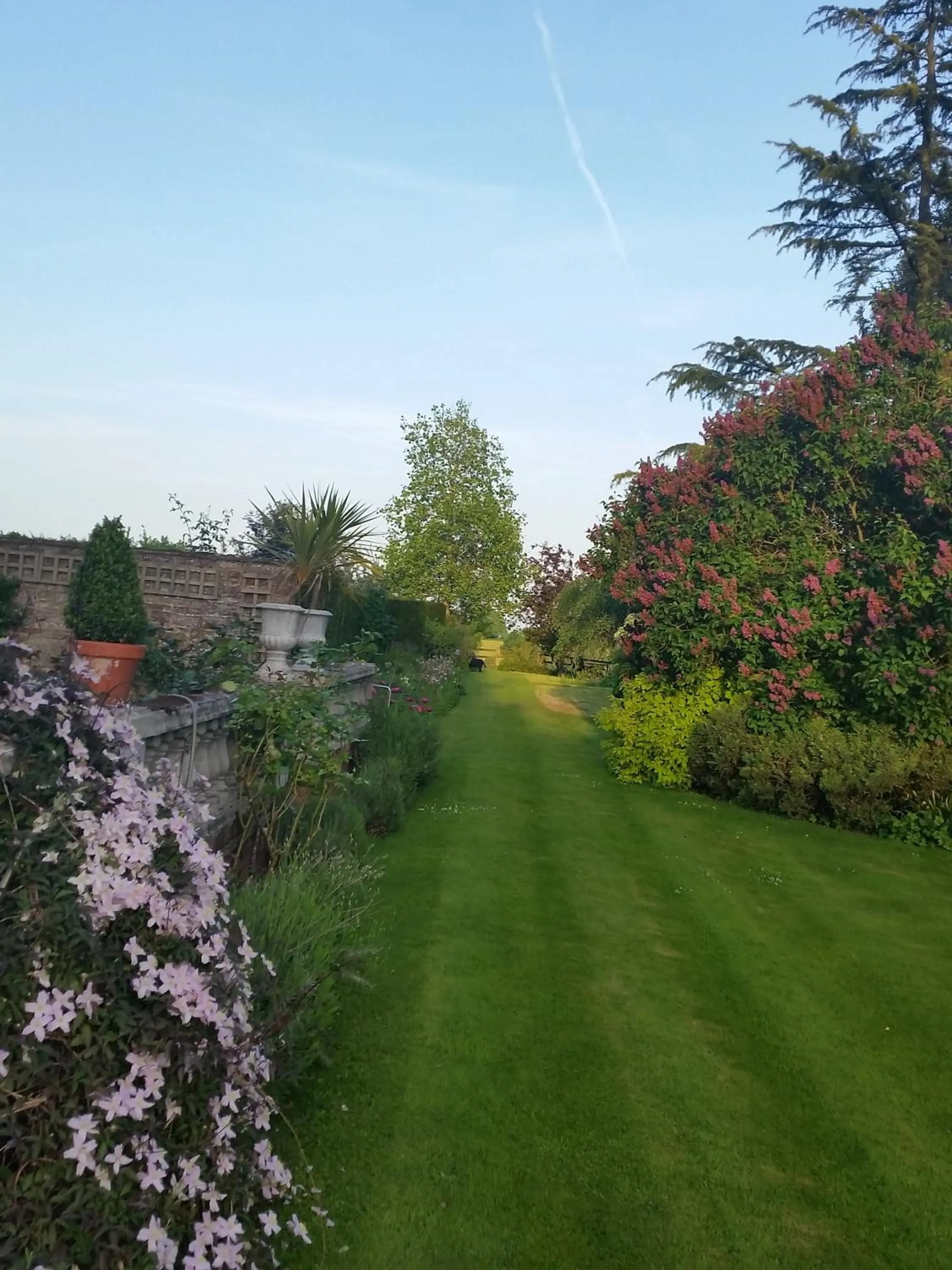 Garden in Blaisdon House B&B