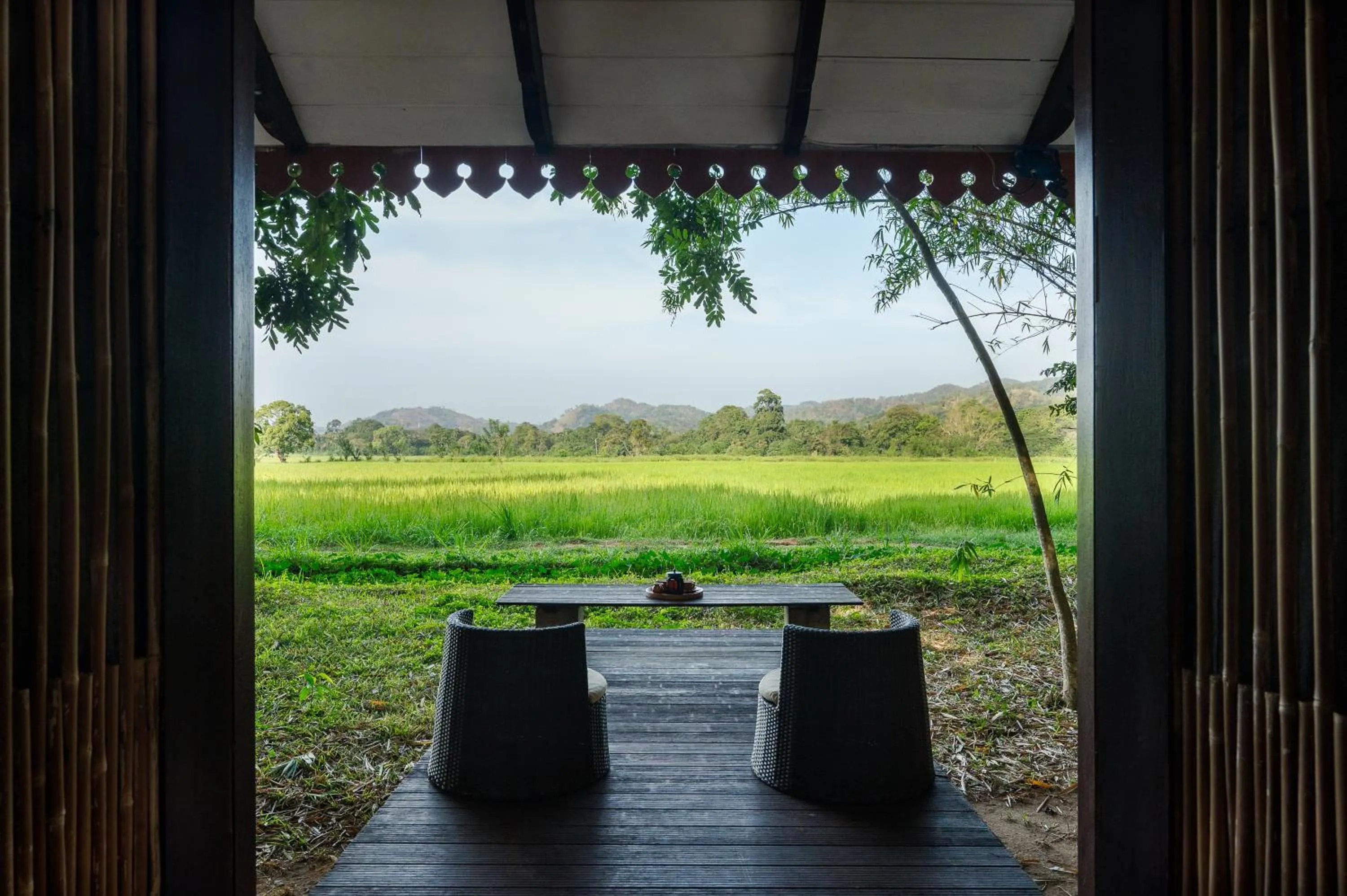 View (from property/room) in Jetwing Kaduruketha
