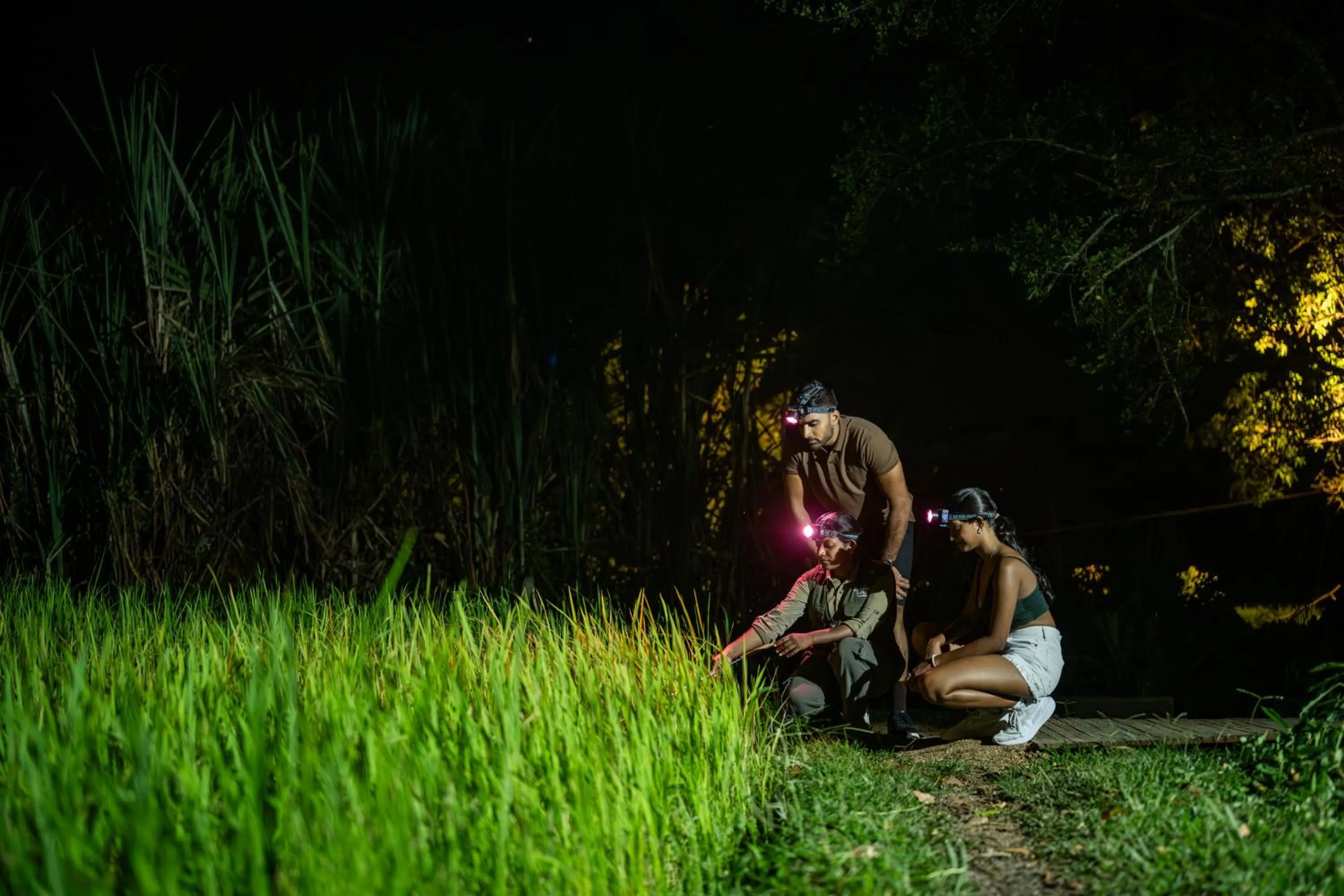 Activities in Jetwing Kaduruketha