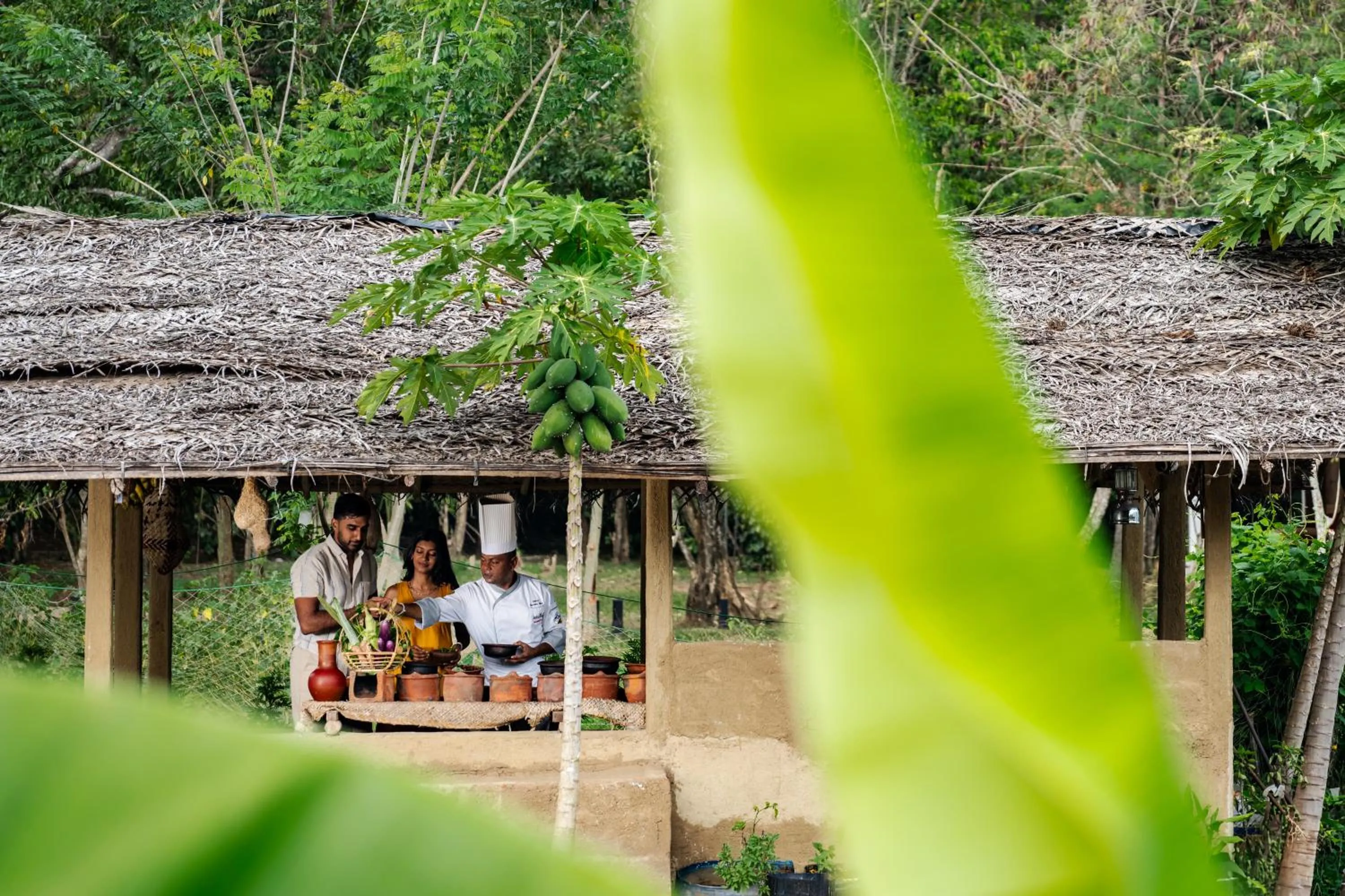 Food in Jetwing Kaduruketha