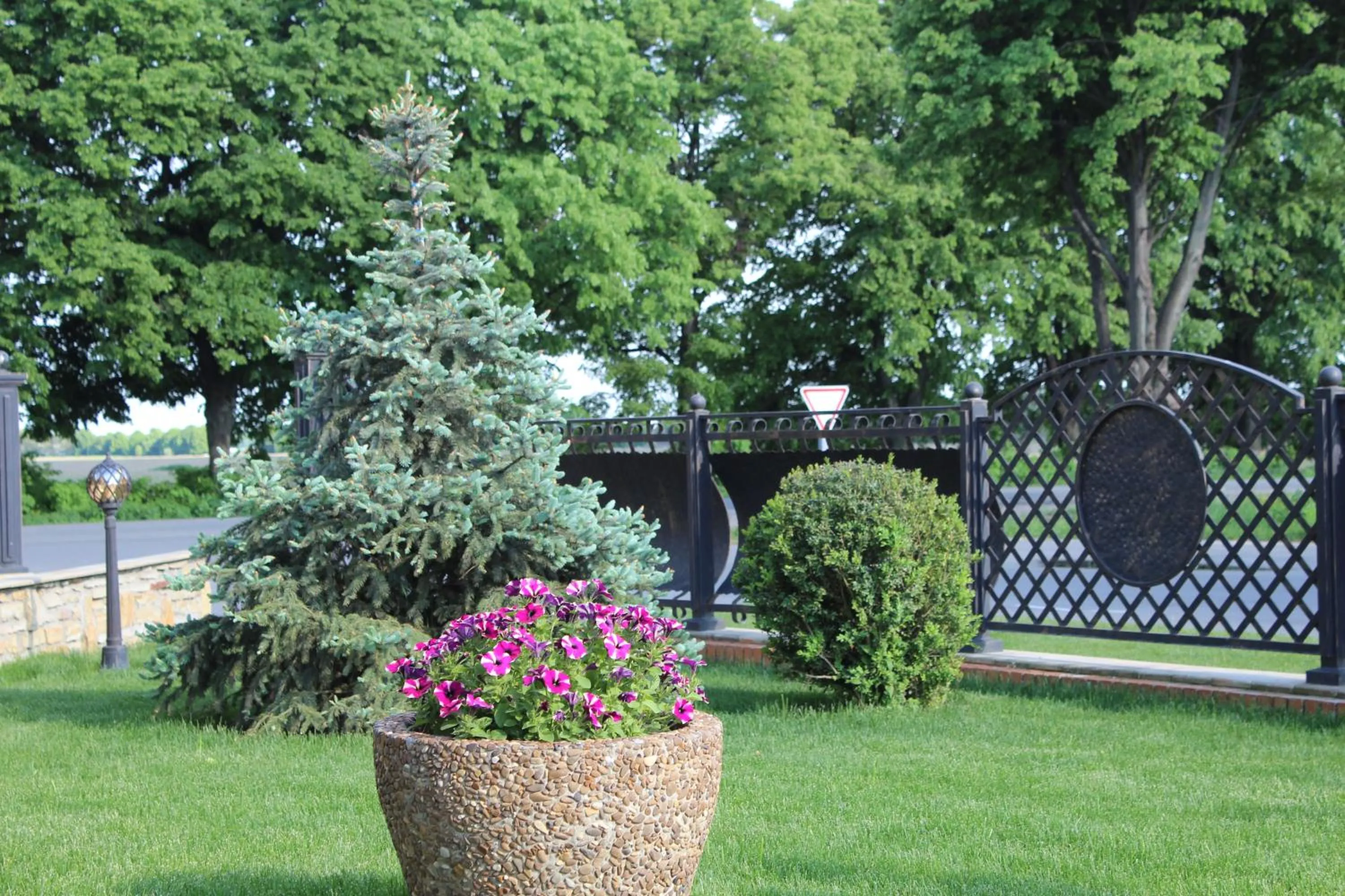 Neighbourhood in Green Villa