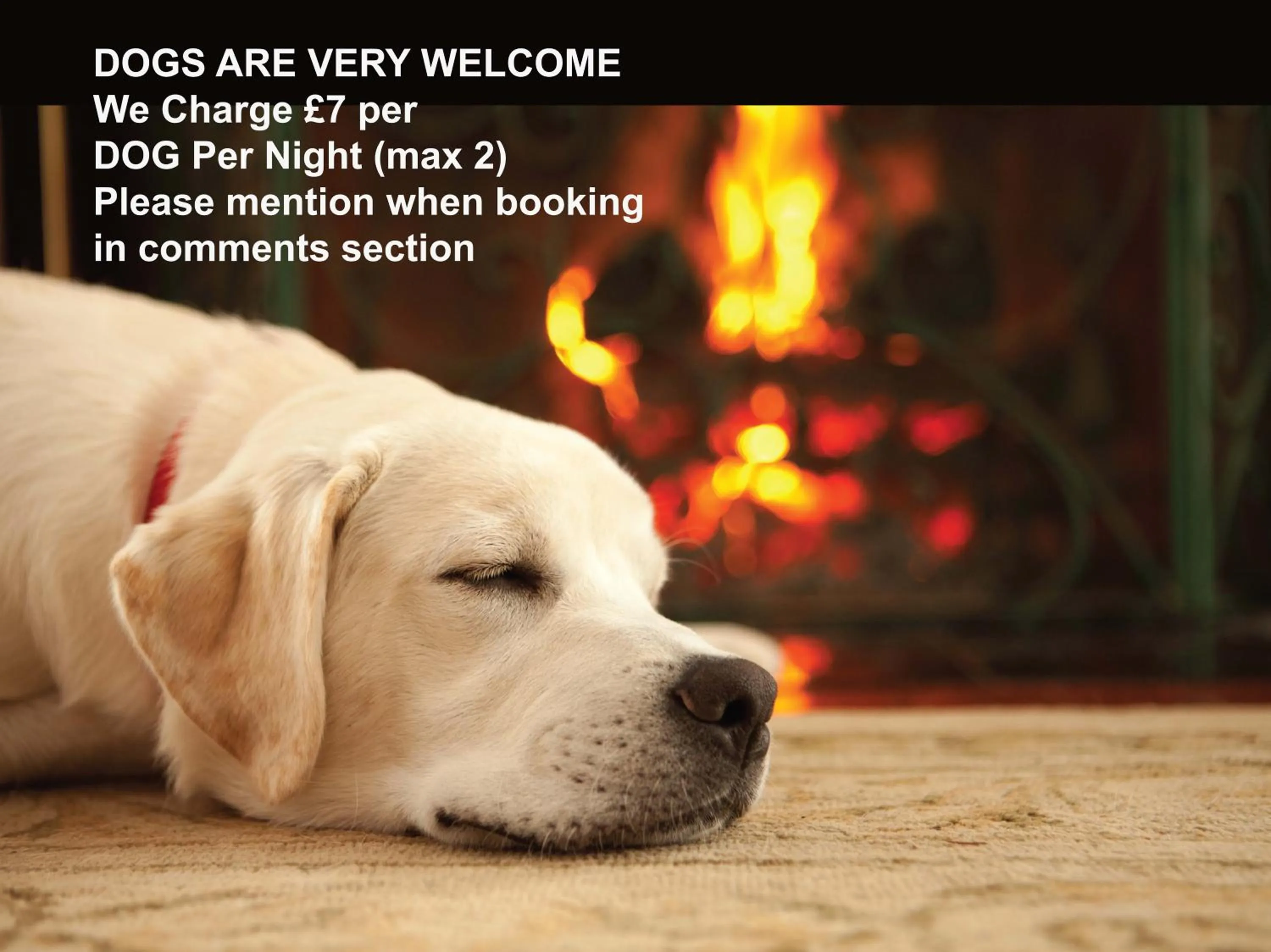 People in The Watermill Inn & Brewery