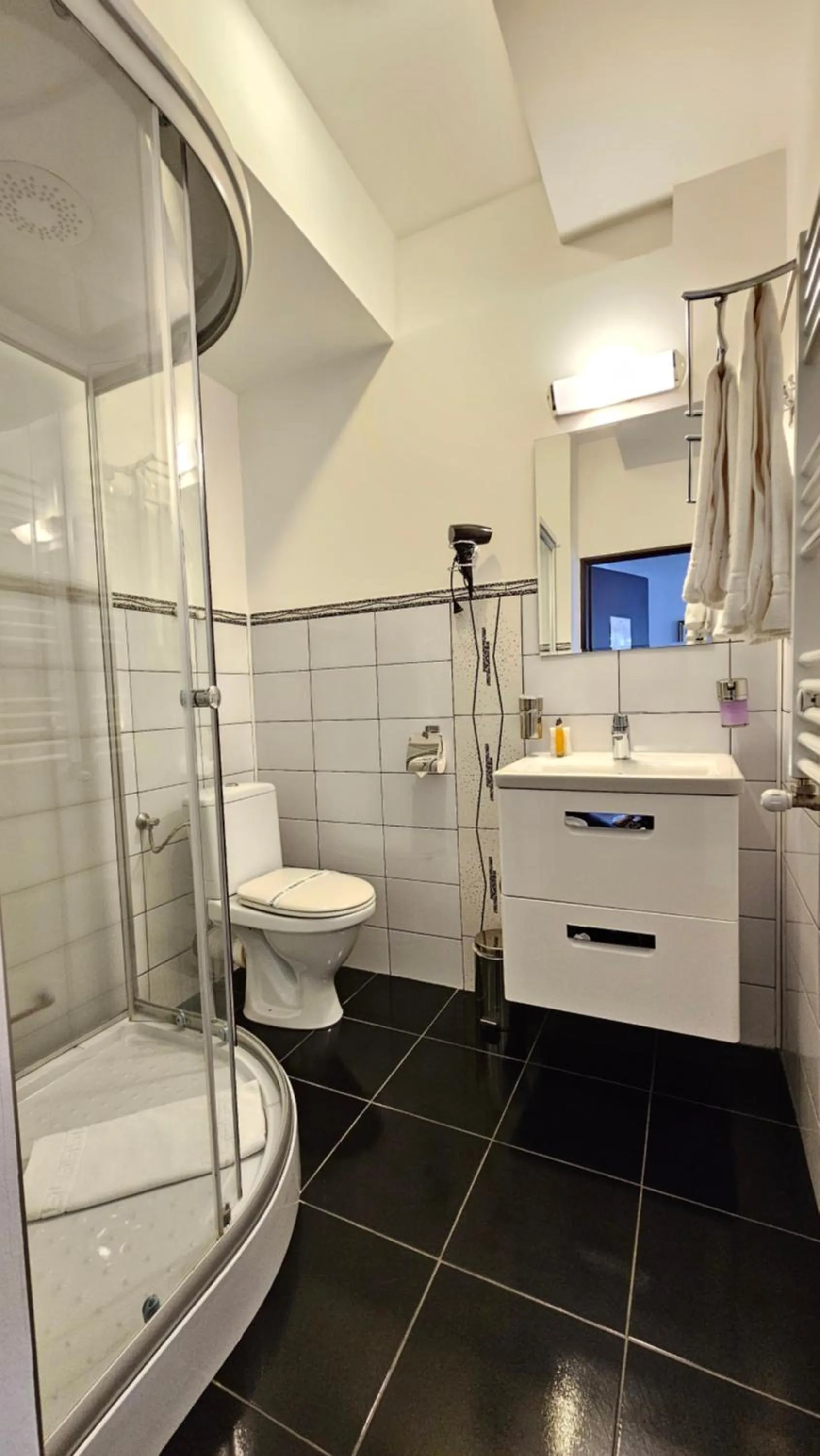 Bathroom in Bucur Accommodation