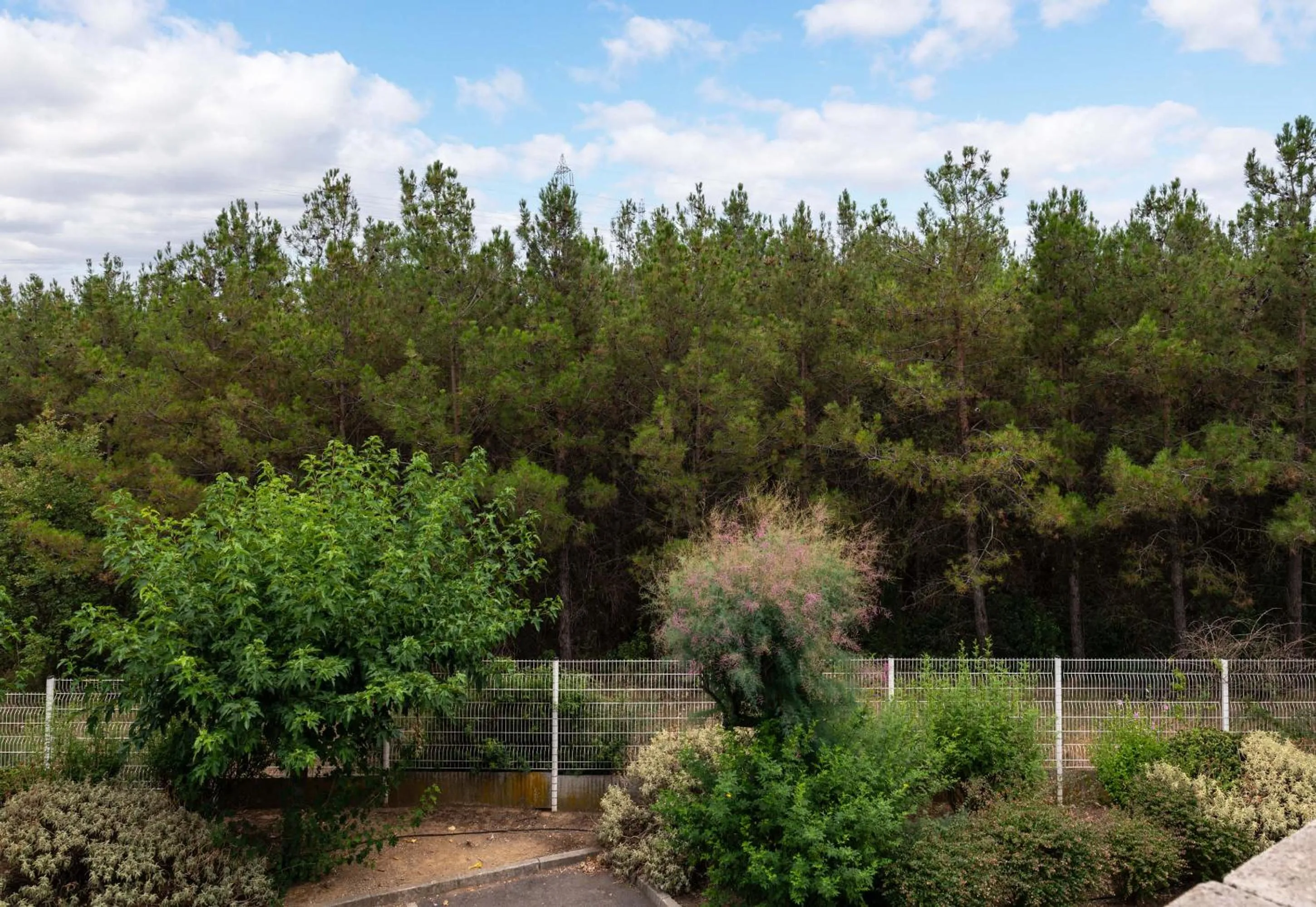 Natural landscape in B&B HOTEL Montpellier 2