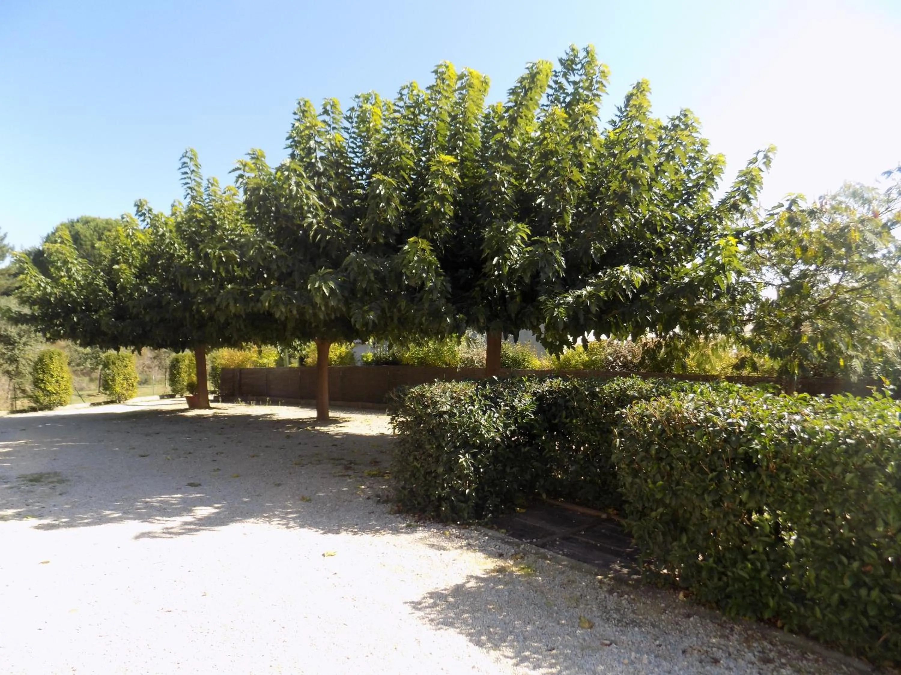 Other in B&B La Vieille Source