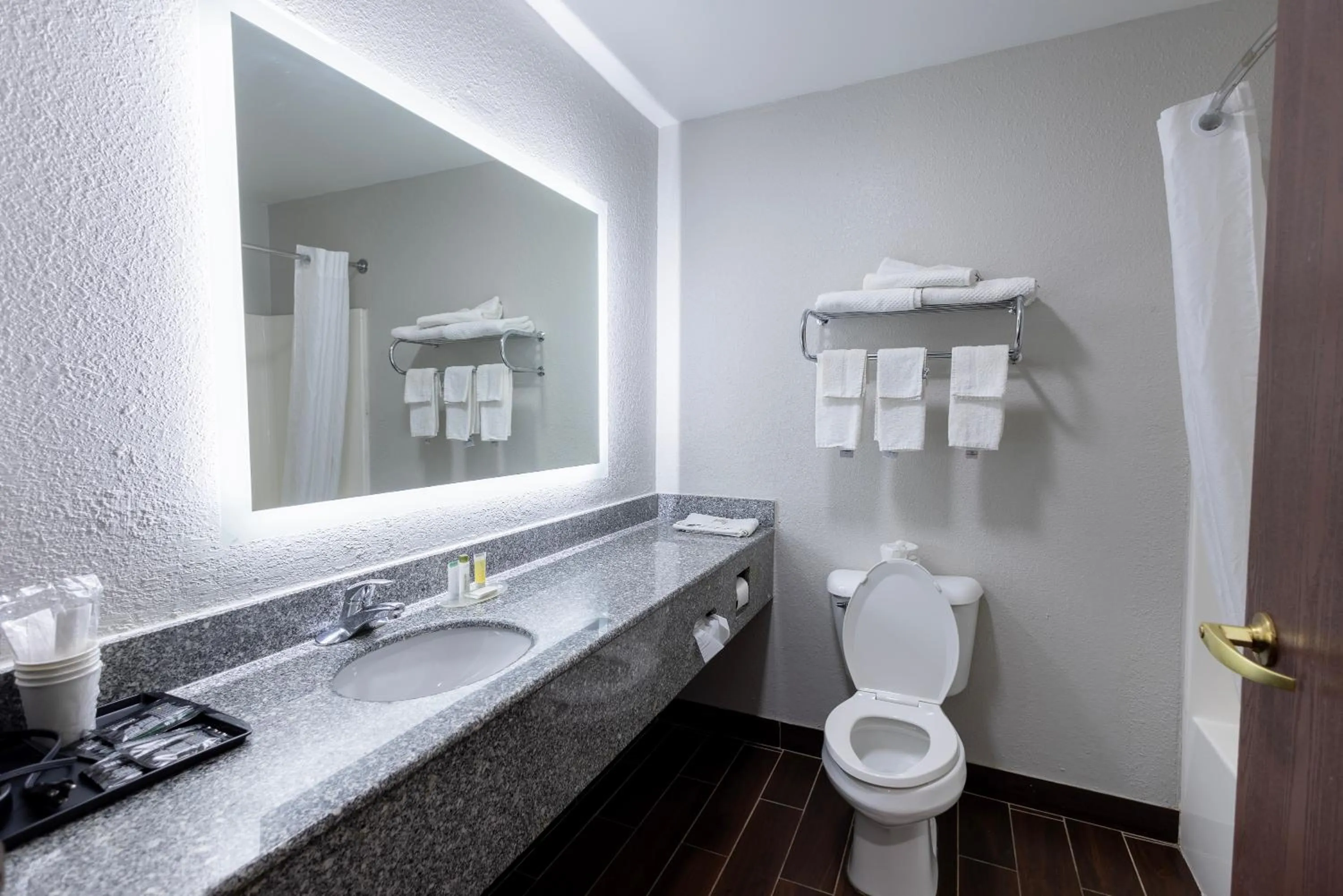 Bathroom in Countryside Inn and Suites