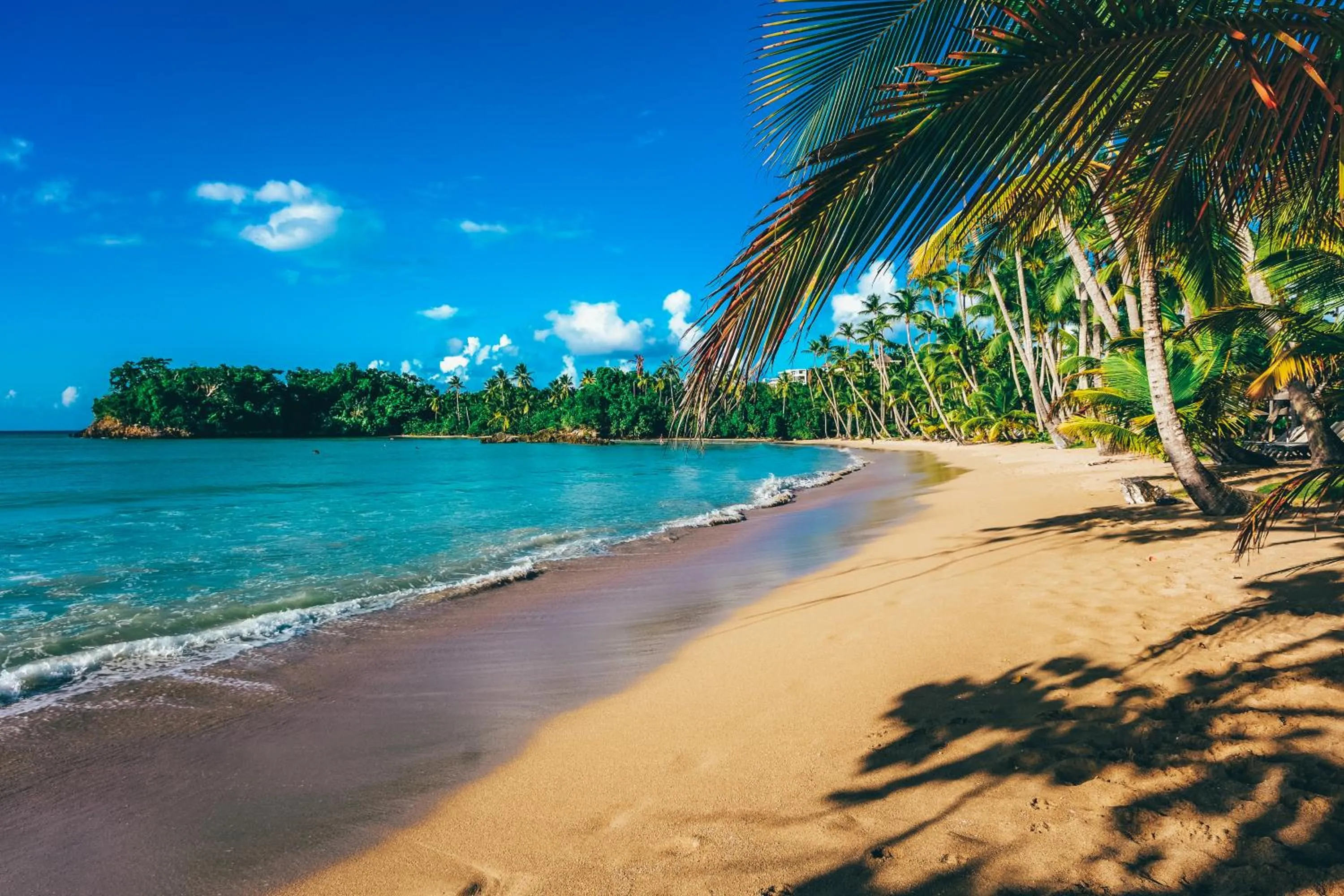 Nearby landmark in Hotel Enjoy