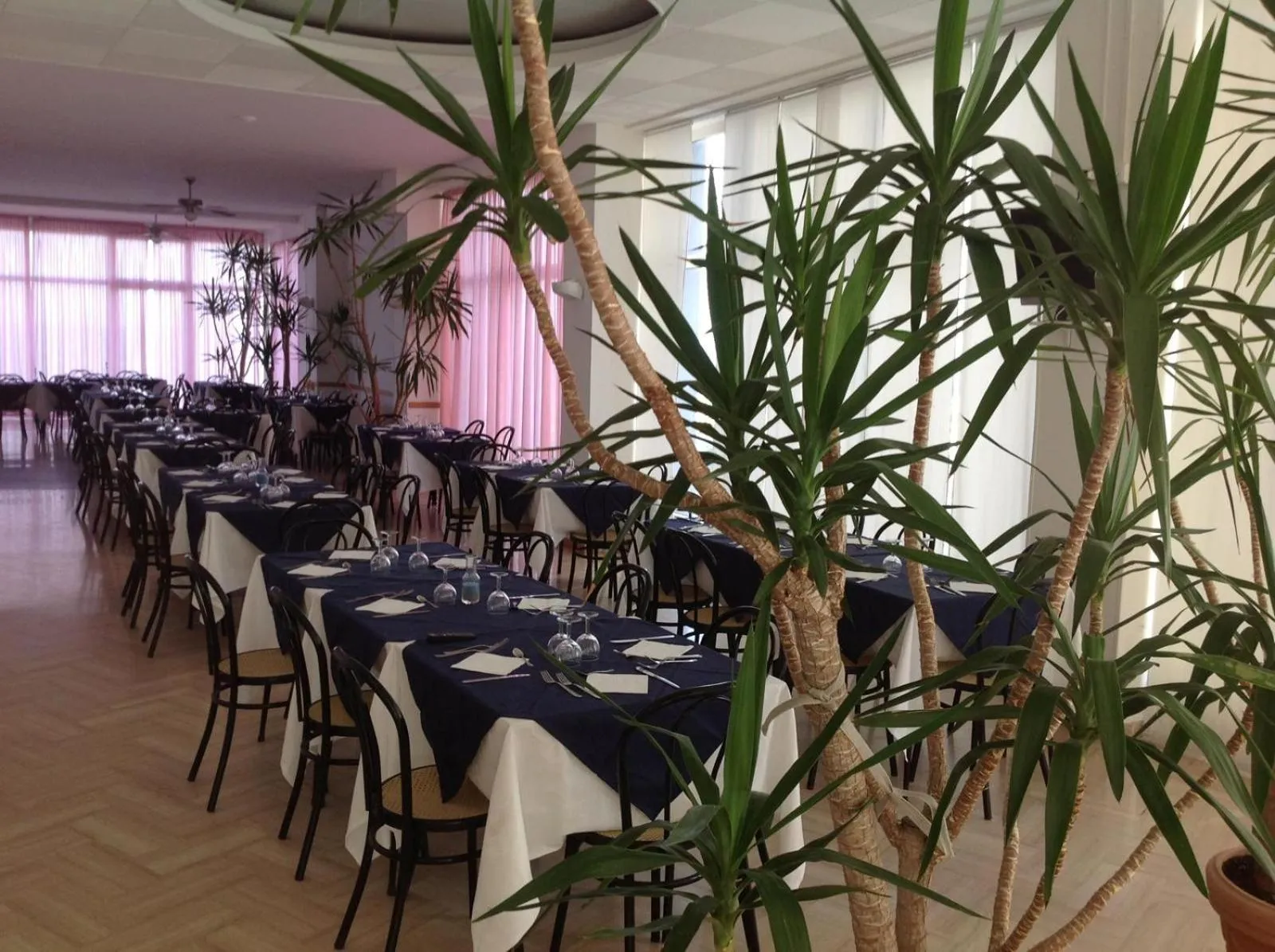 Restaurant/places to eat in Hotel Continental